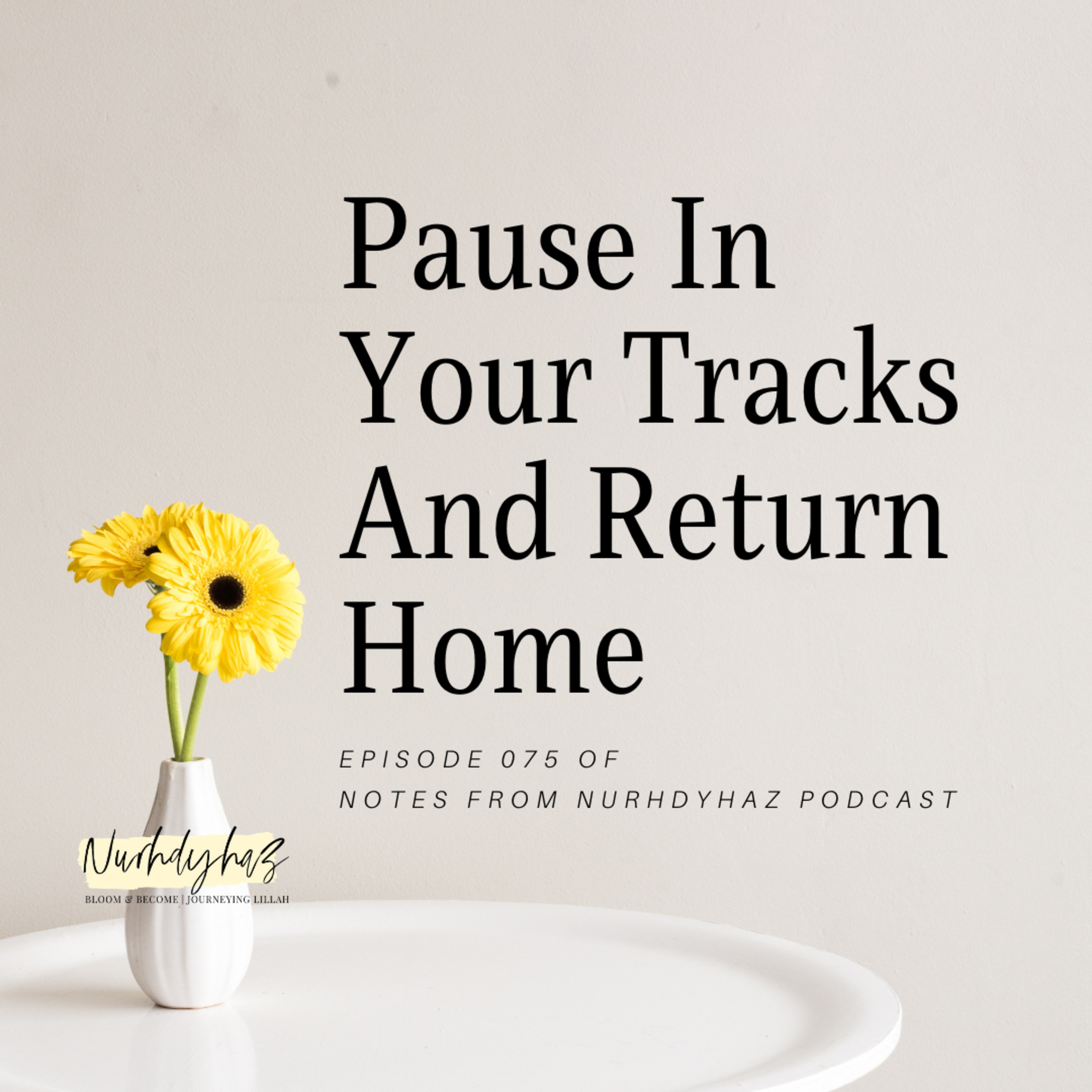 EP075: Pause In Your Tracks And Return Home episode artwork