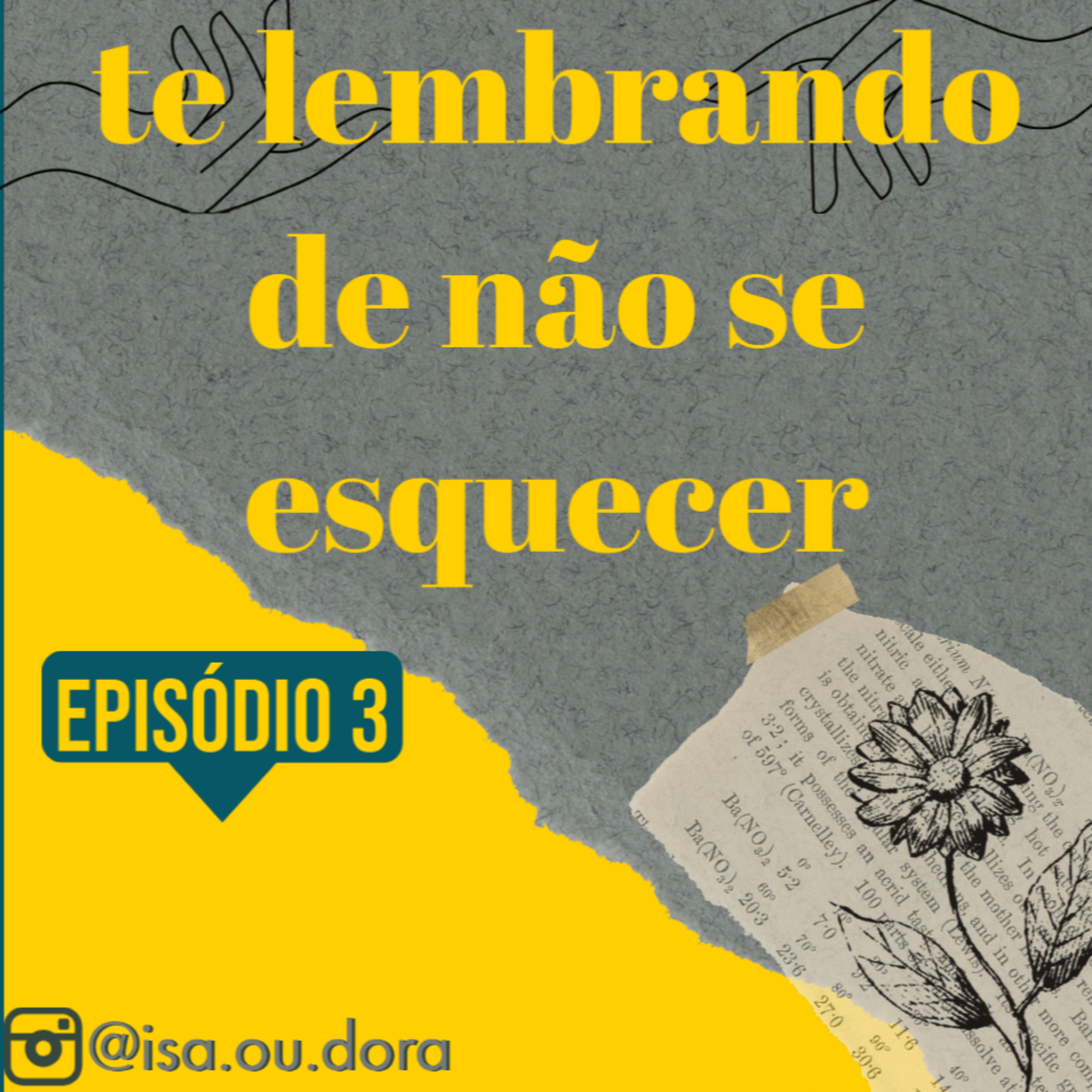 girassóis em forma de poesias para ela