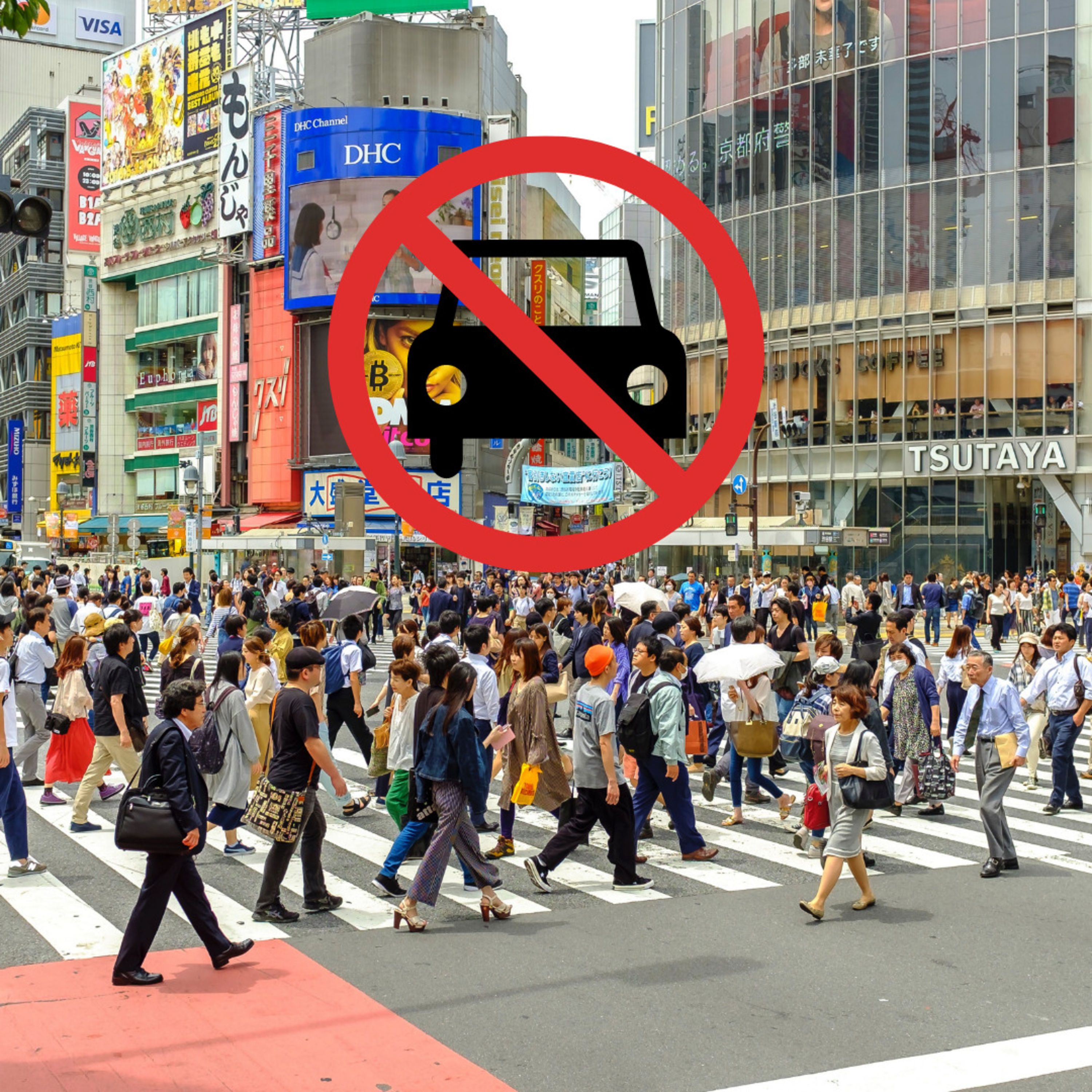 Pedestrian Plight