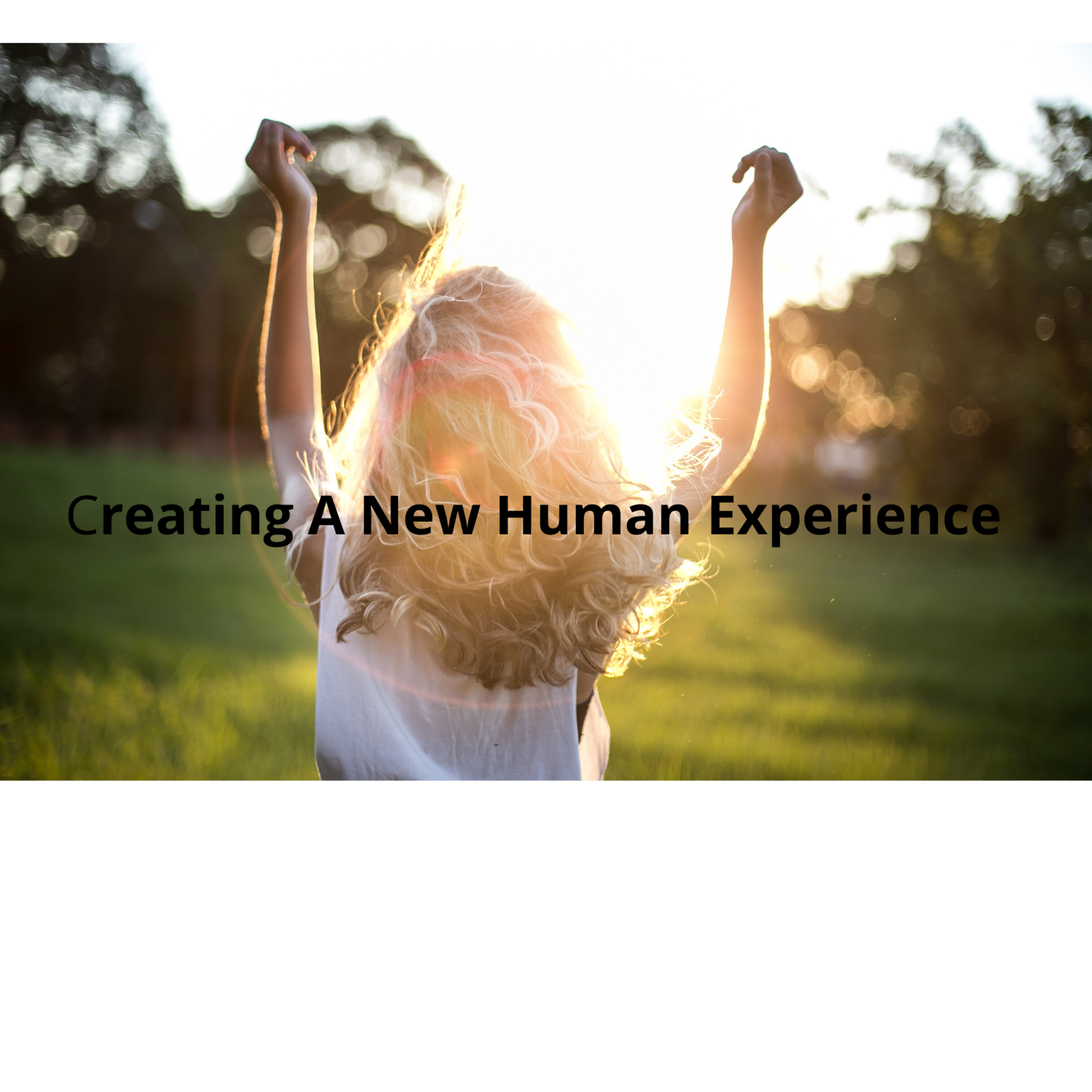 A New Human Experience