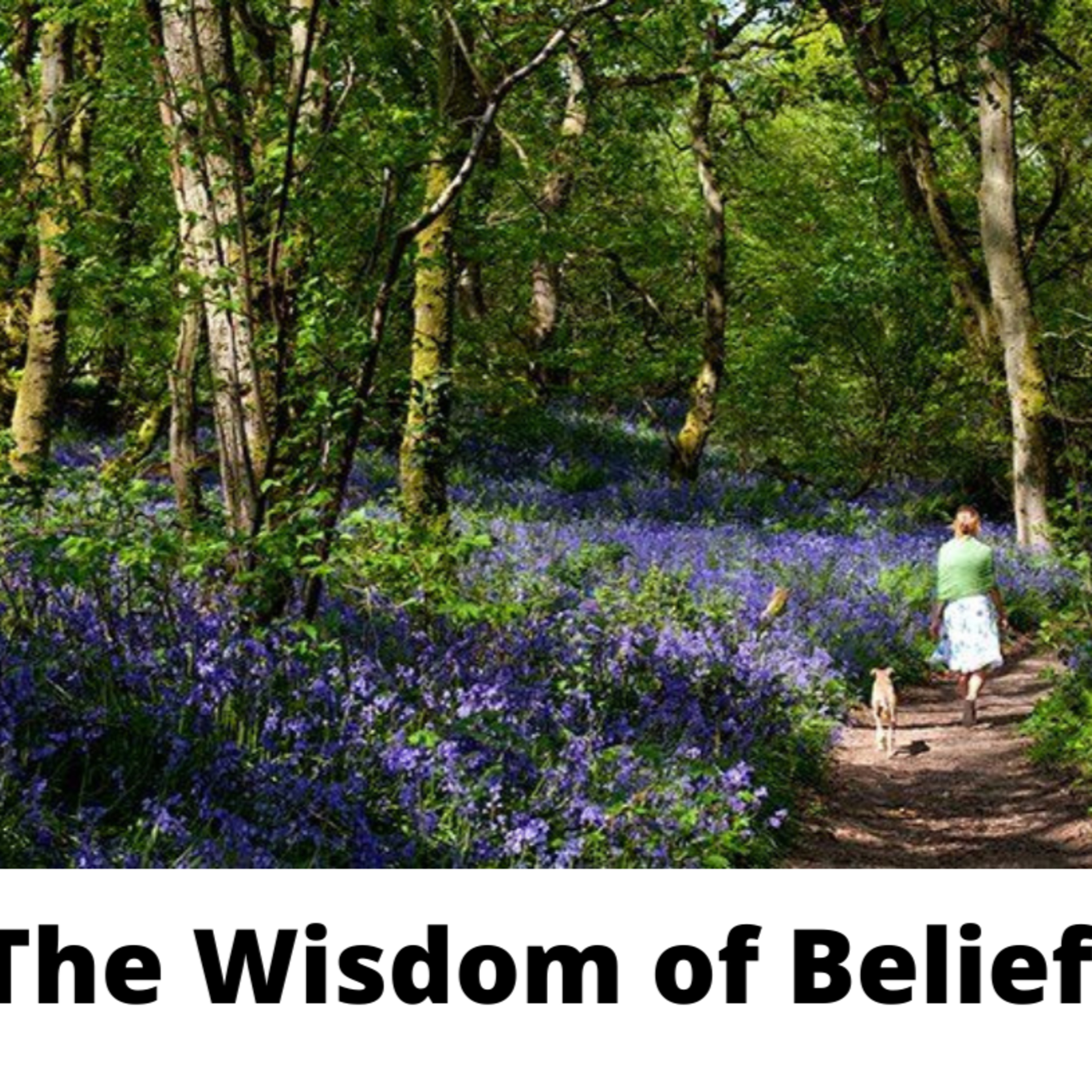 The Wisdom of Beliefs episode artwork