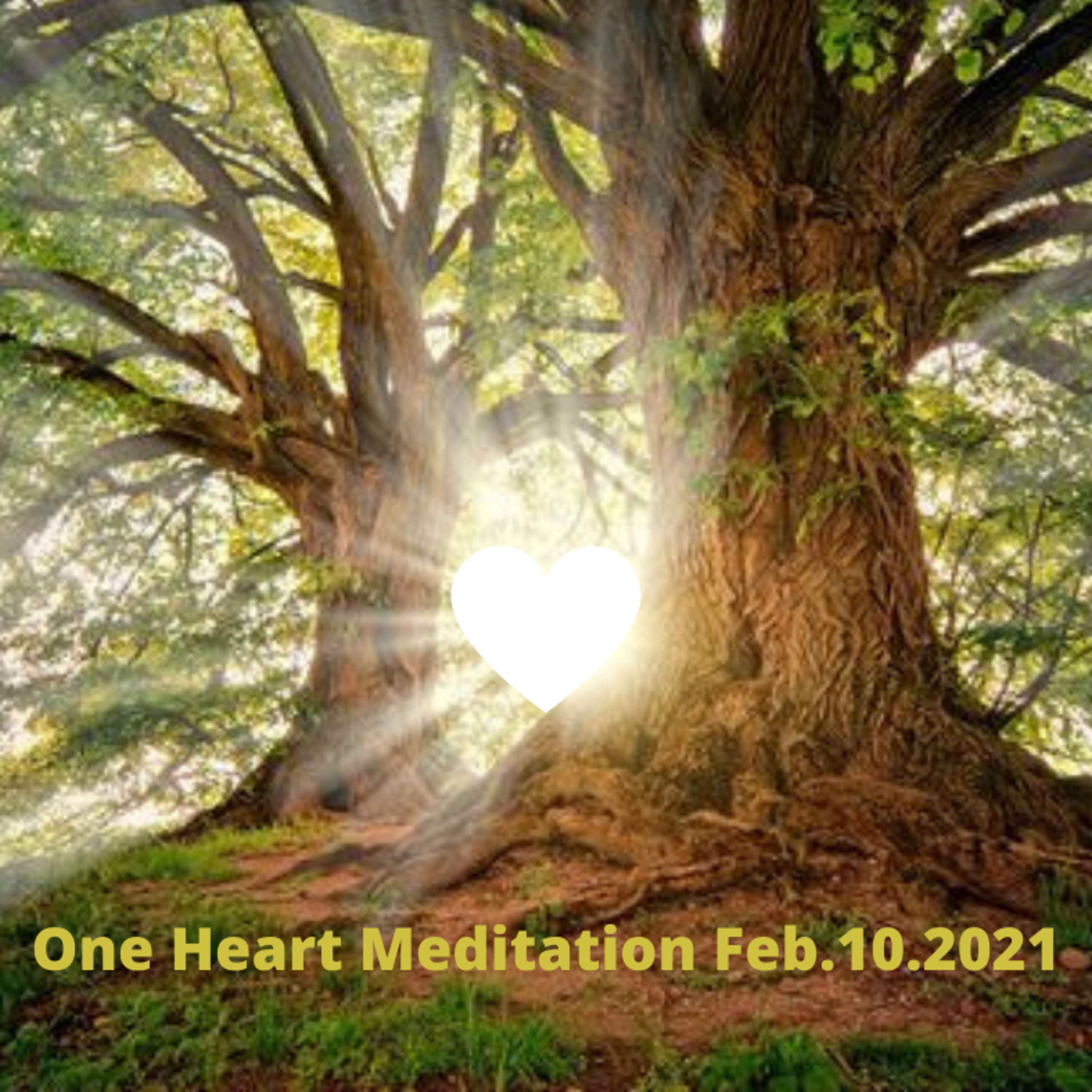 One Heart Meditation Feb.10.2021 episode artwork
