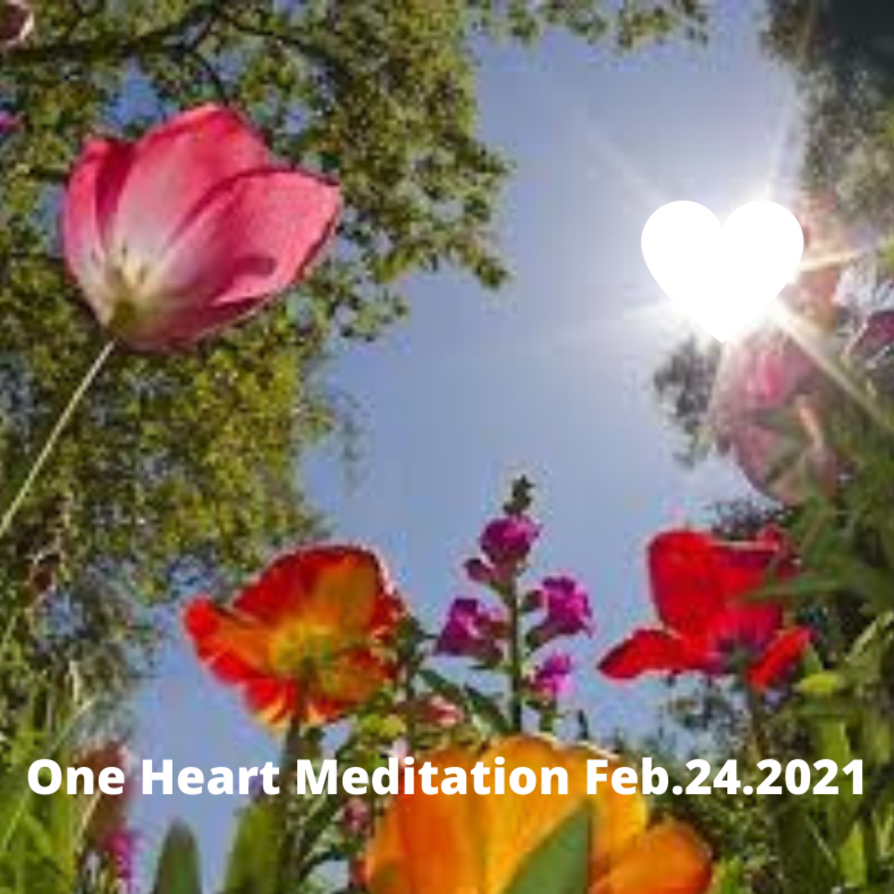 One Heart Meditation Feb.24.2021 episode artwork