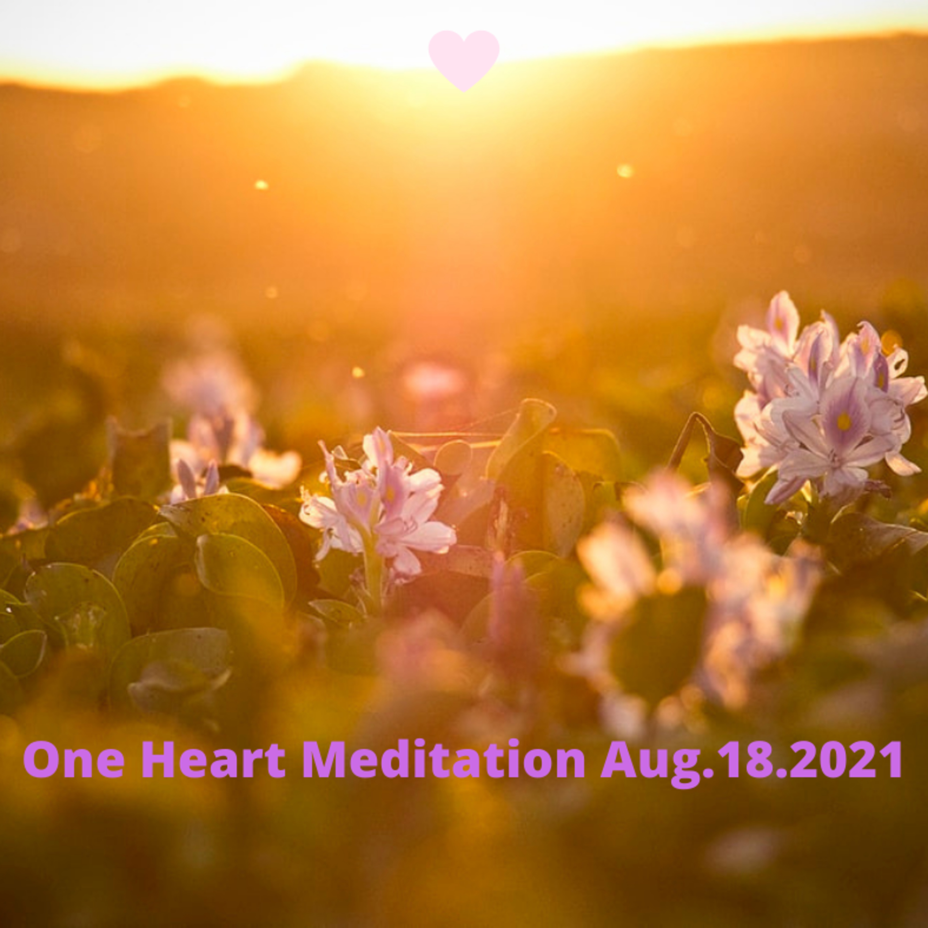 One Heart Meditation Aug.18.2021 episode artwork