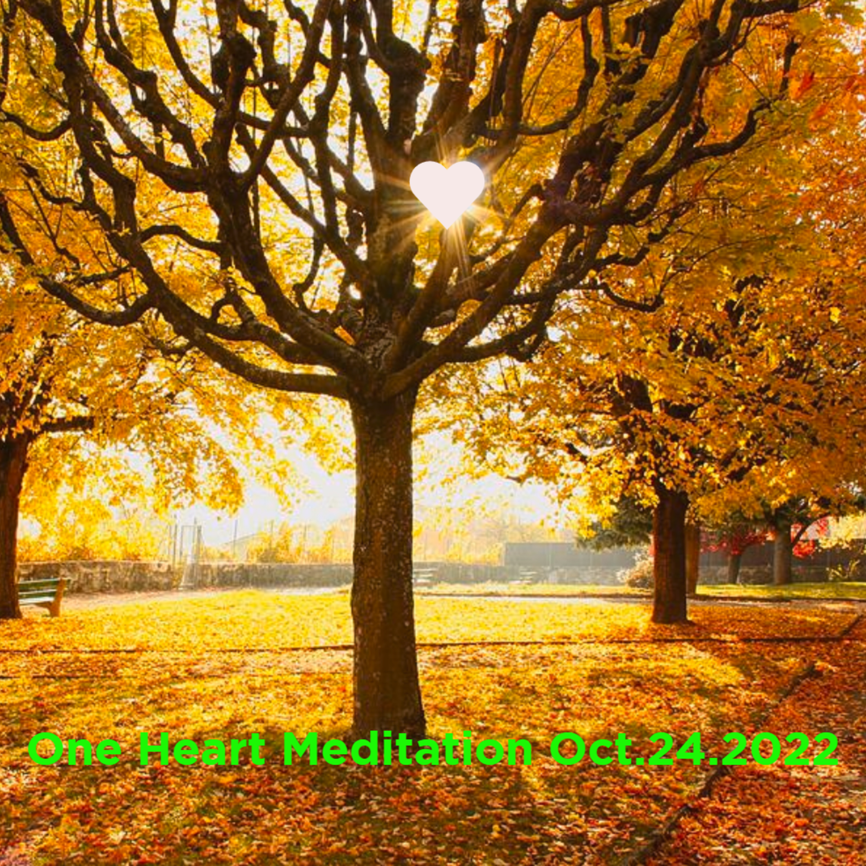 One Heart Meditation Oct242022 episode artwork