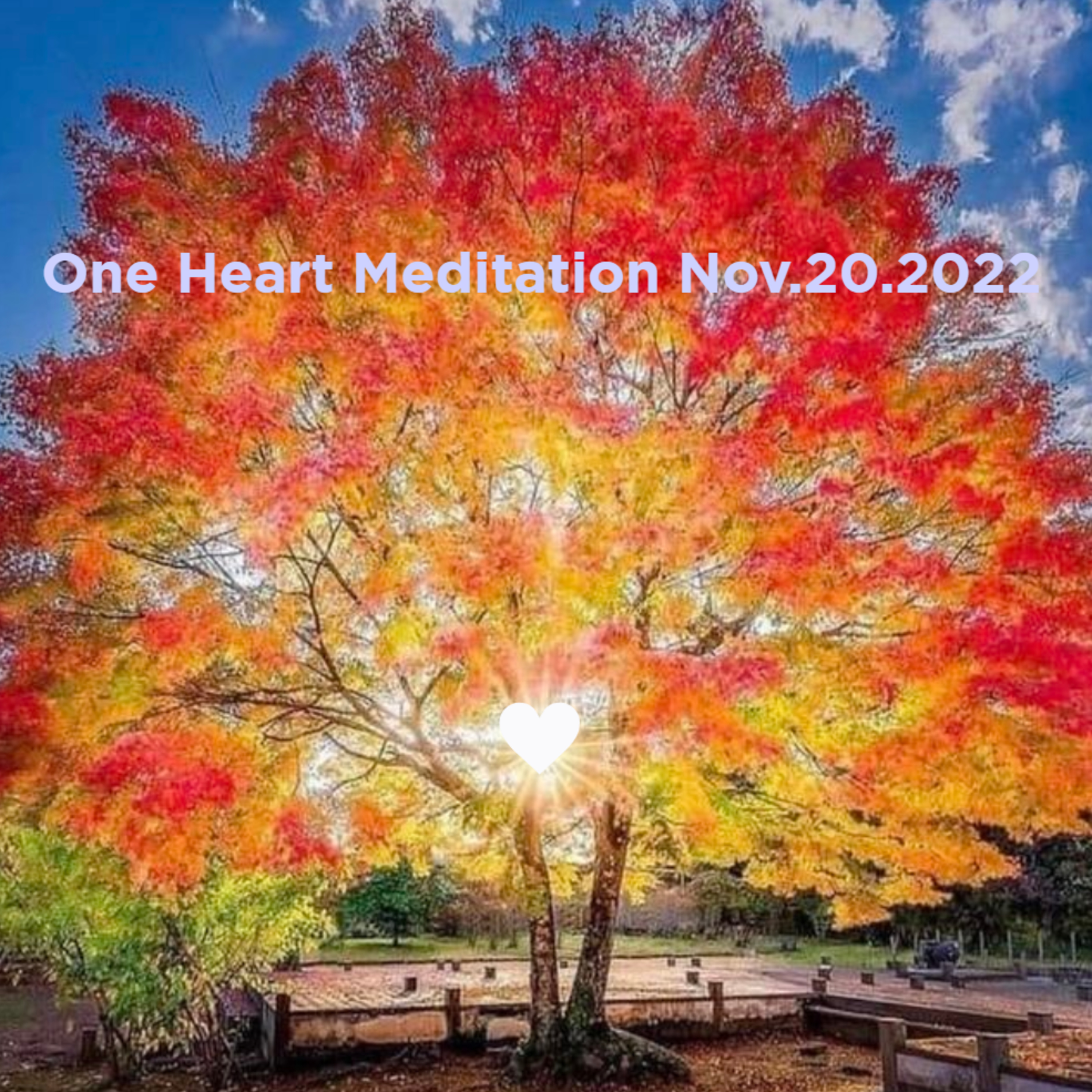 One Heart Meditation Nov202022 episode artwork