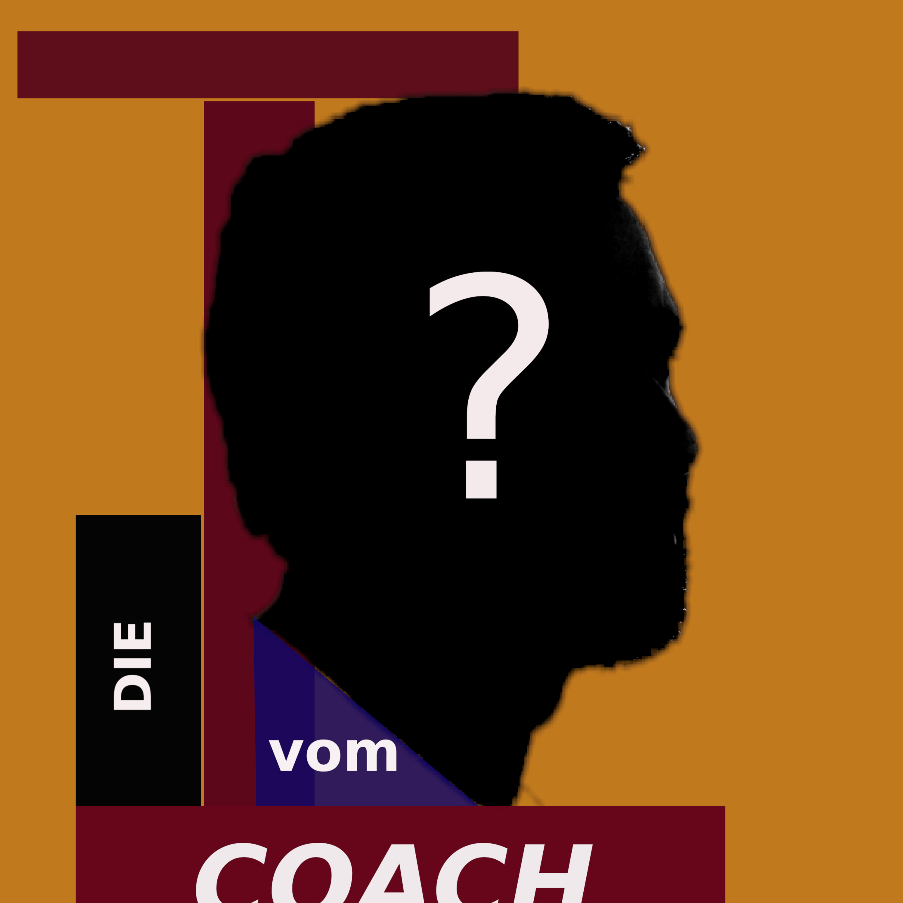 Die Thesen - Der Motivationspodcast mit Blick vom Coach