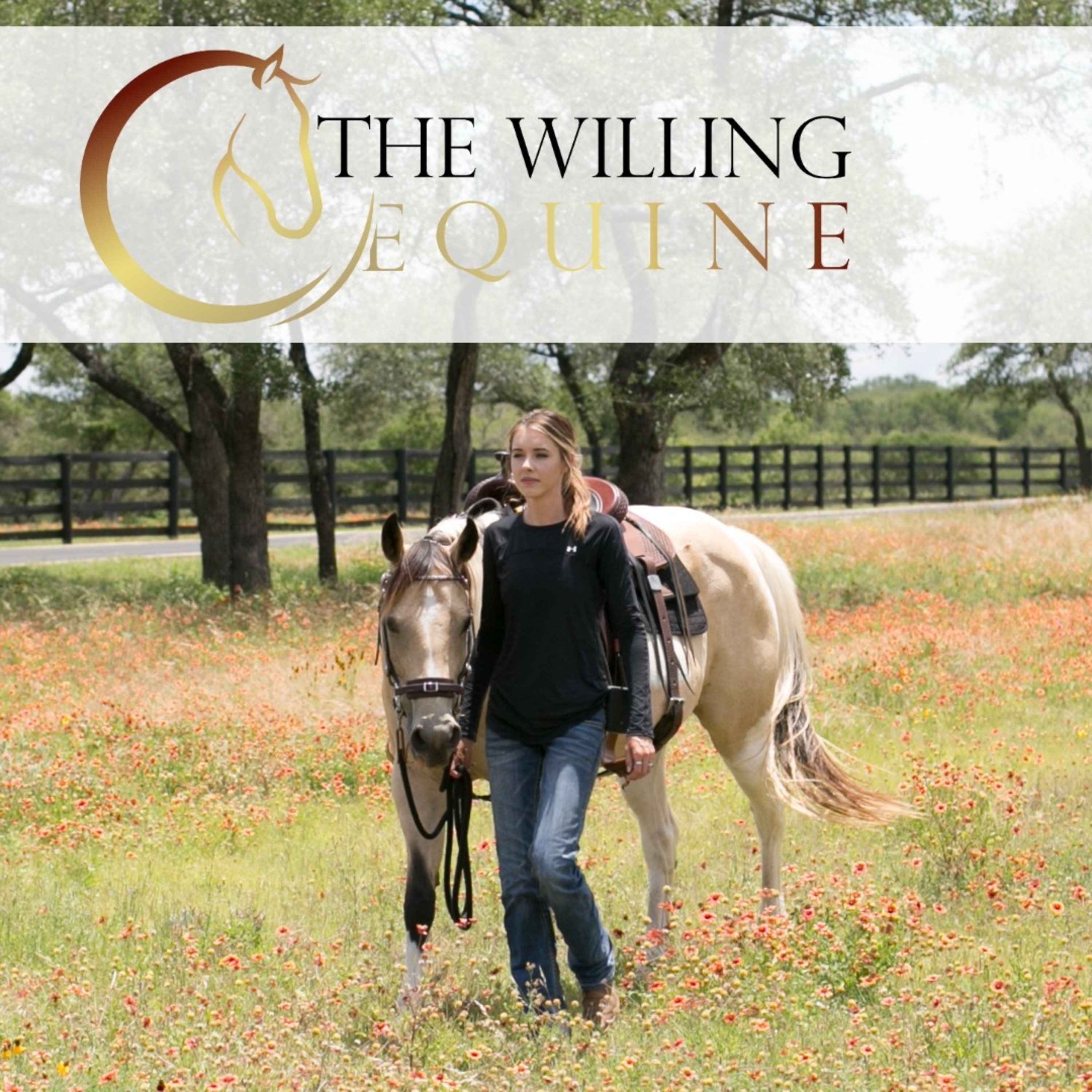 The Willing Equine