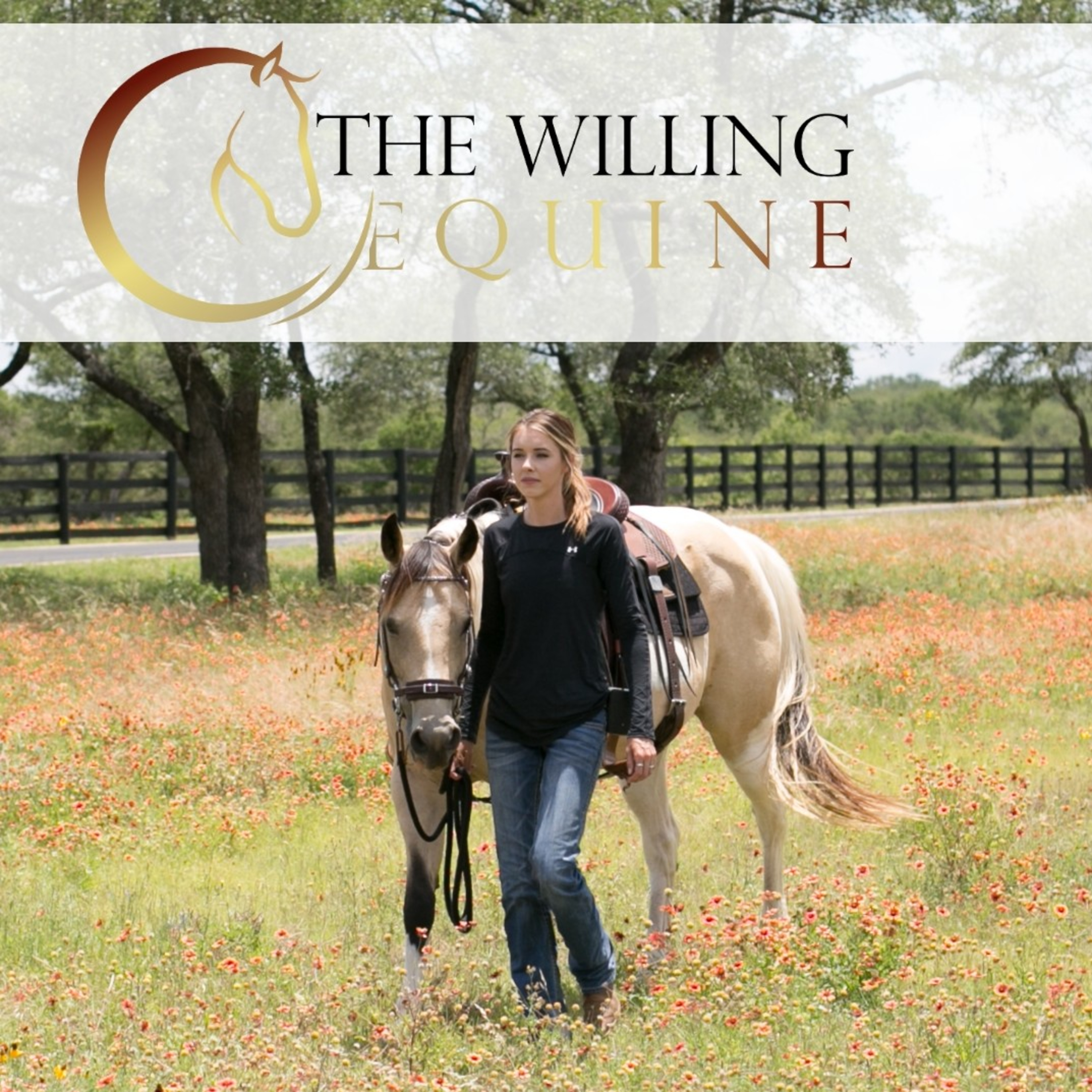 The Willing Equine
