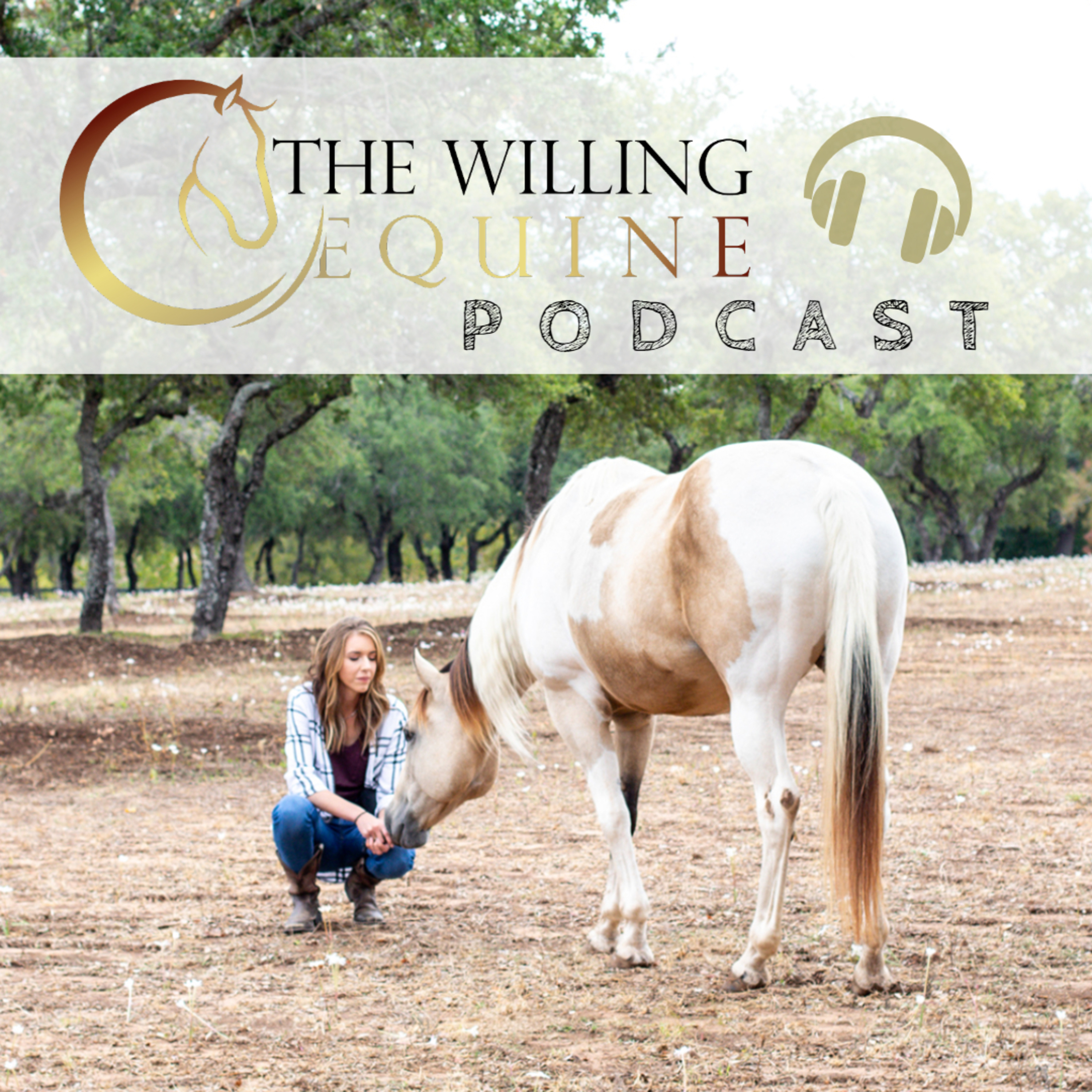 Ep 29 // Motherhood and Horses