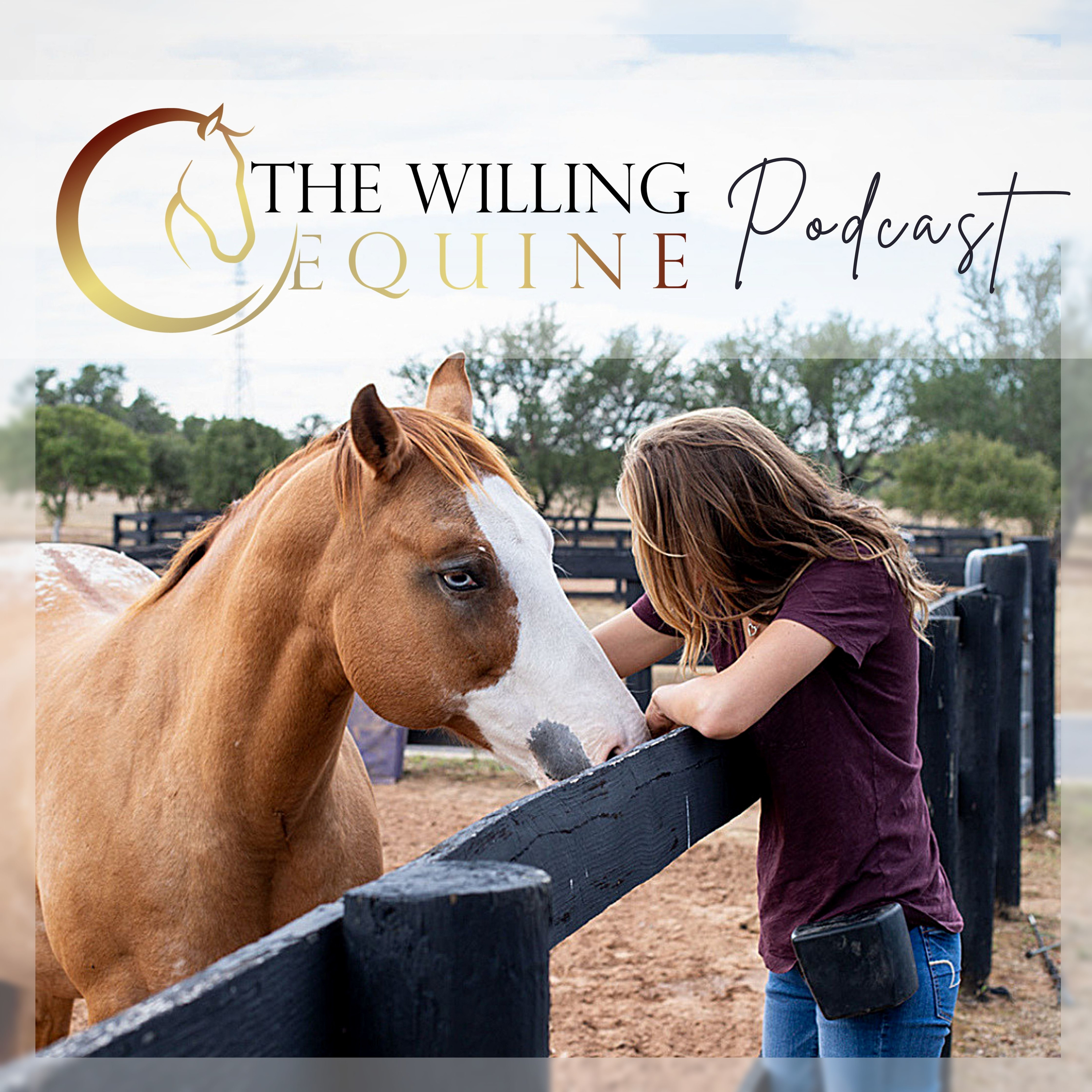 Ep 46 // Young Horses & Preparing For Shows