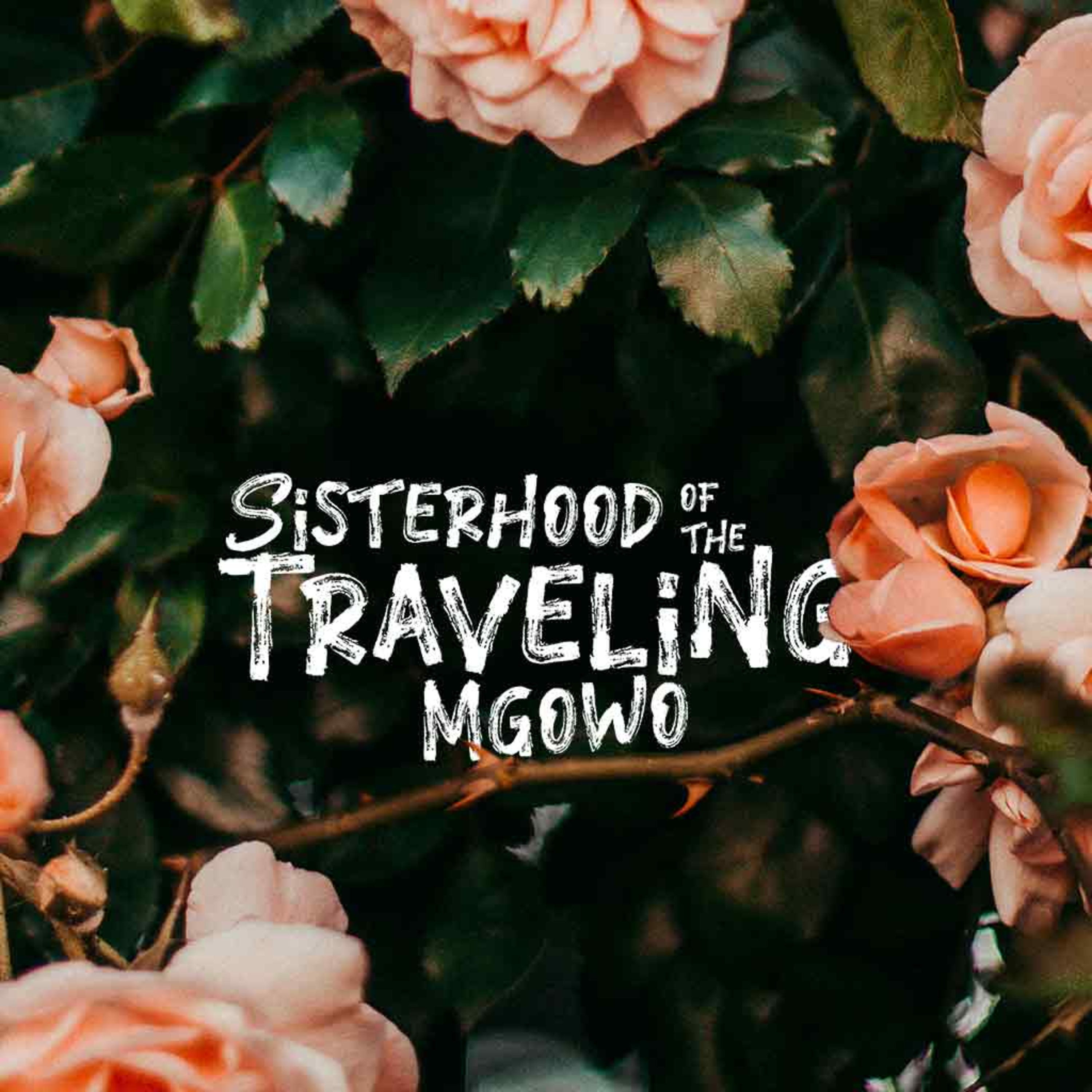 Sisterhood of the Travelling Mgowo
