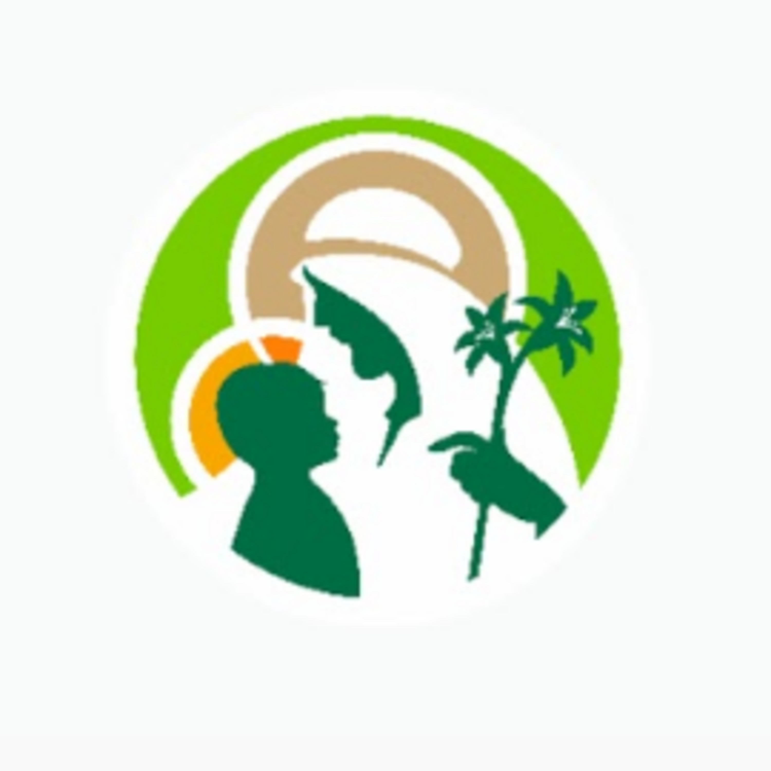 FOCADES VIRTUAL