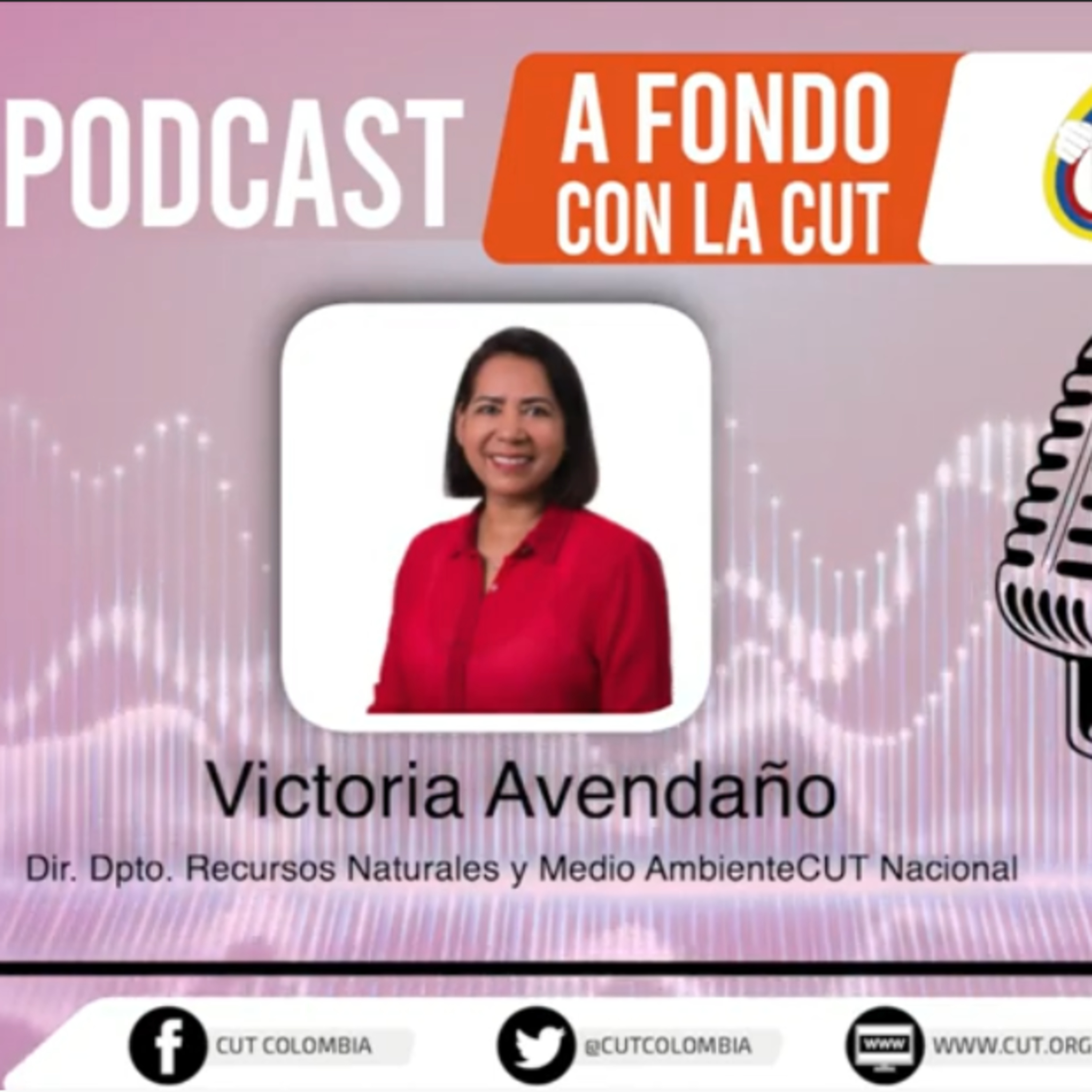 [Miércoles 24 de marzo, Victoria Avendaño, Directora de Recursos Naturales CUT] episode artwork