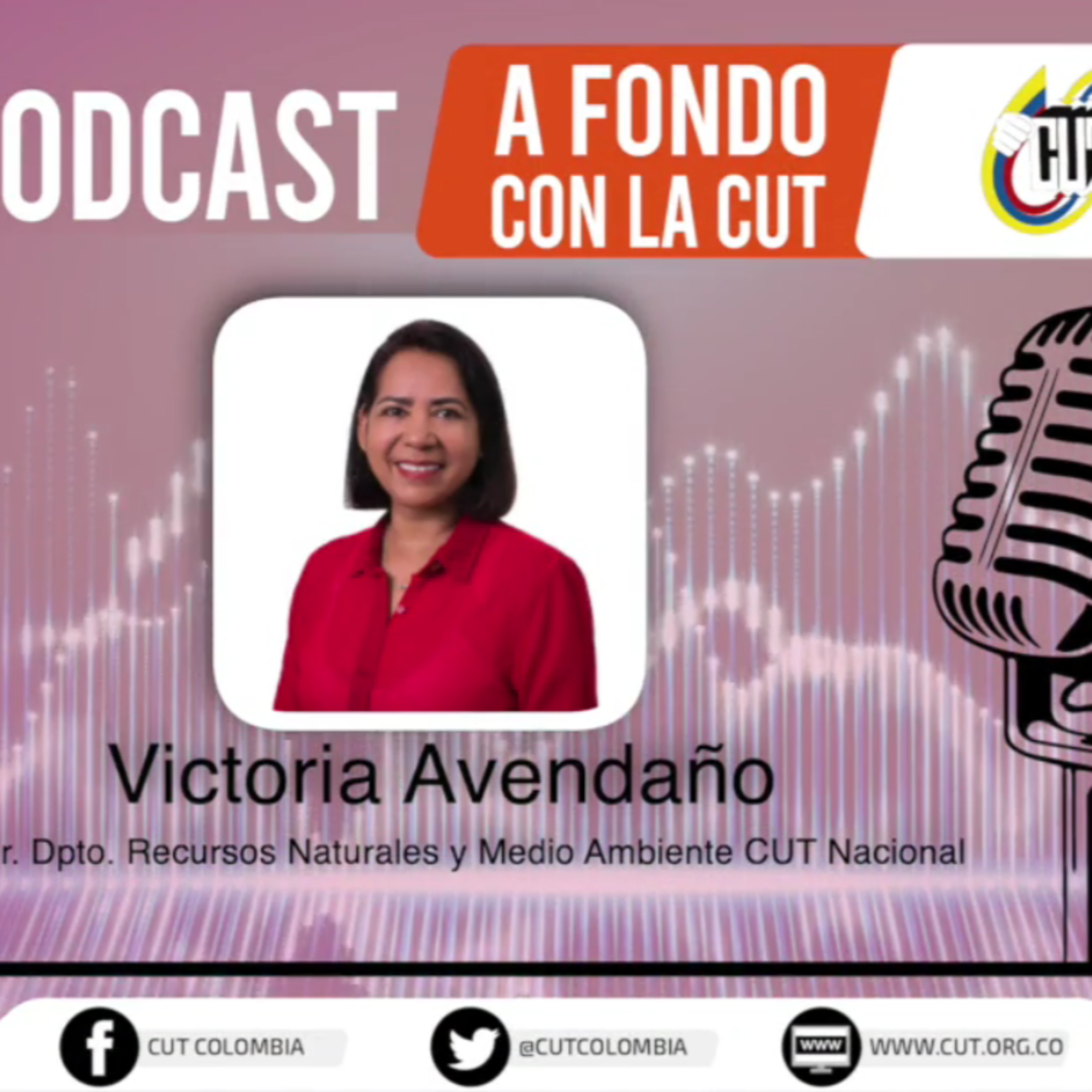  [Miércoles 26 de Mayo, Victoria Avendaño, departamento de Recursos Naturales de la CUT] episode artwork