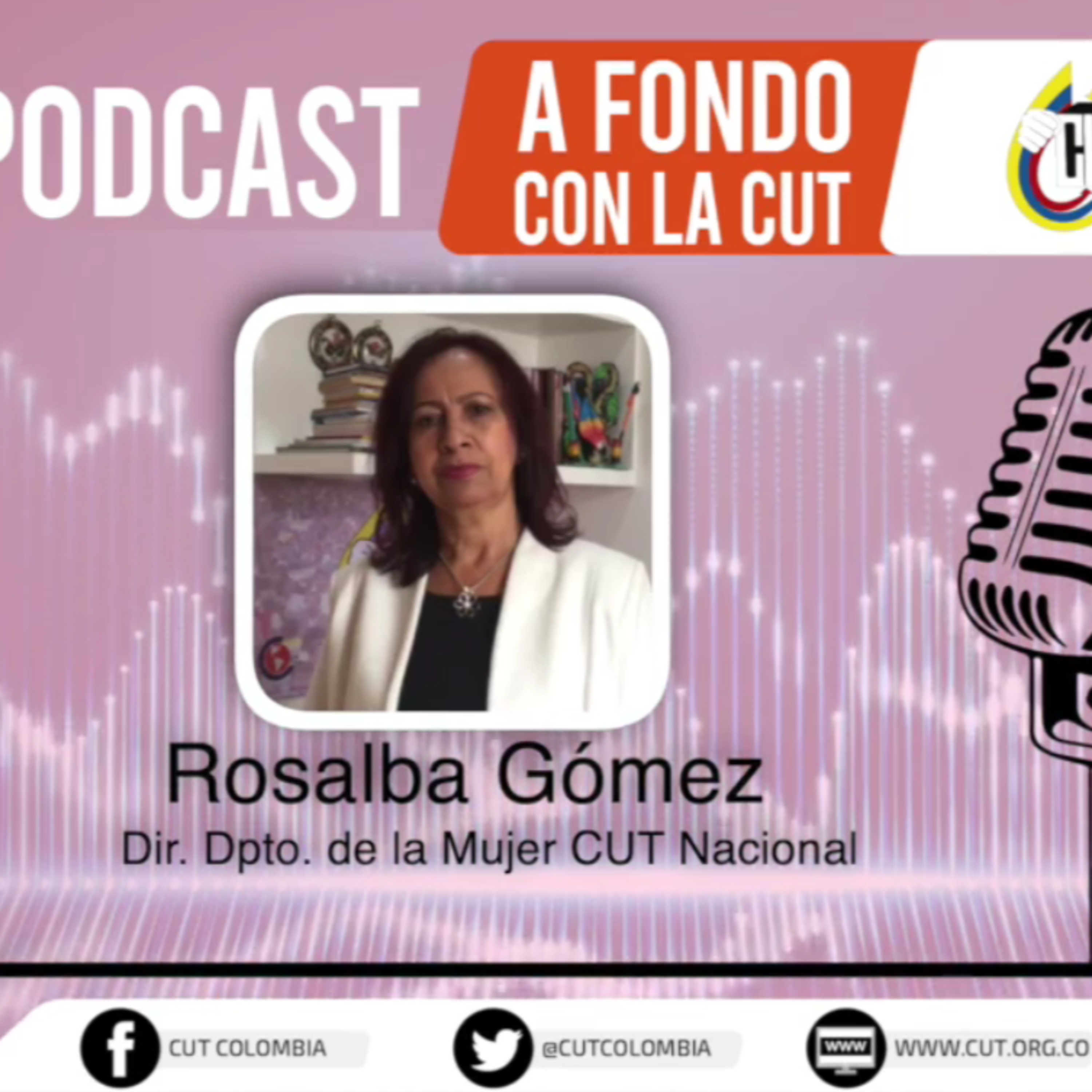 [Martes 29 de junio, Rosalba Gómez, directora del departamento de la Mujer CUT] episode artwork