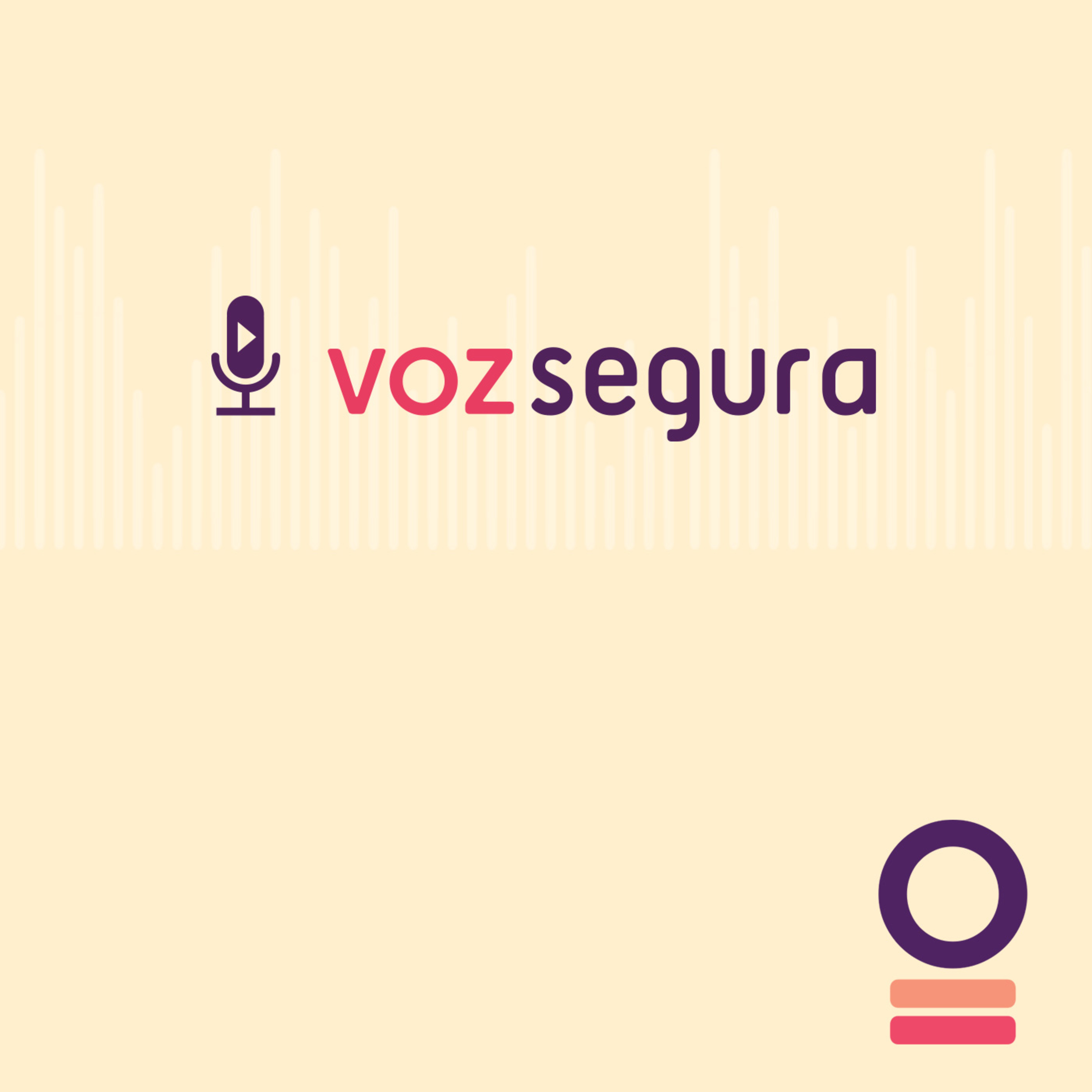 Voz Segura
