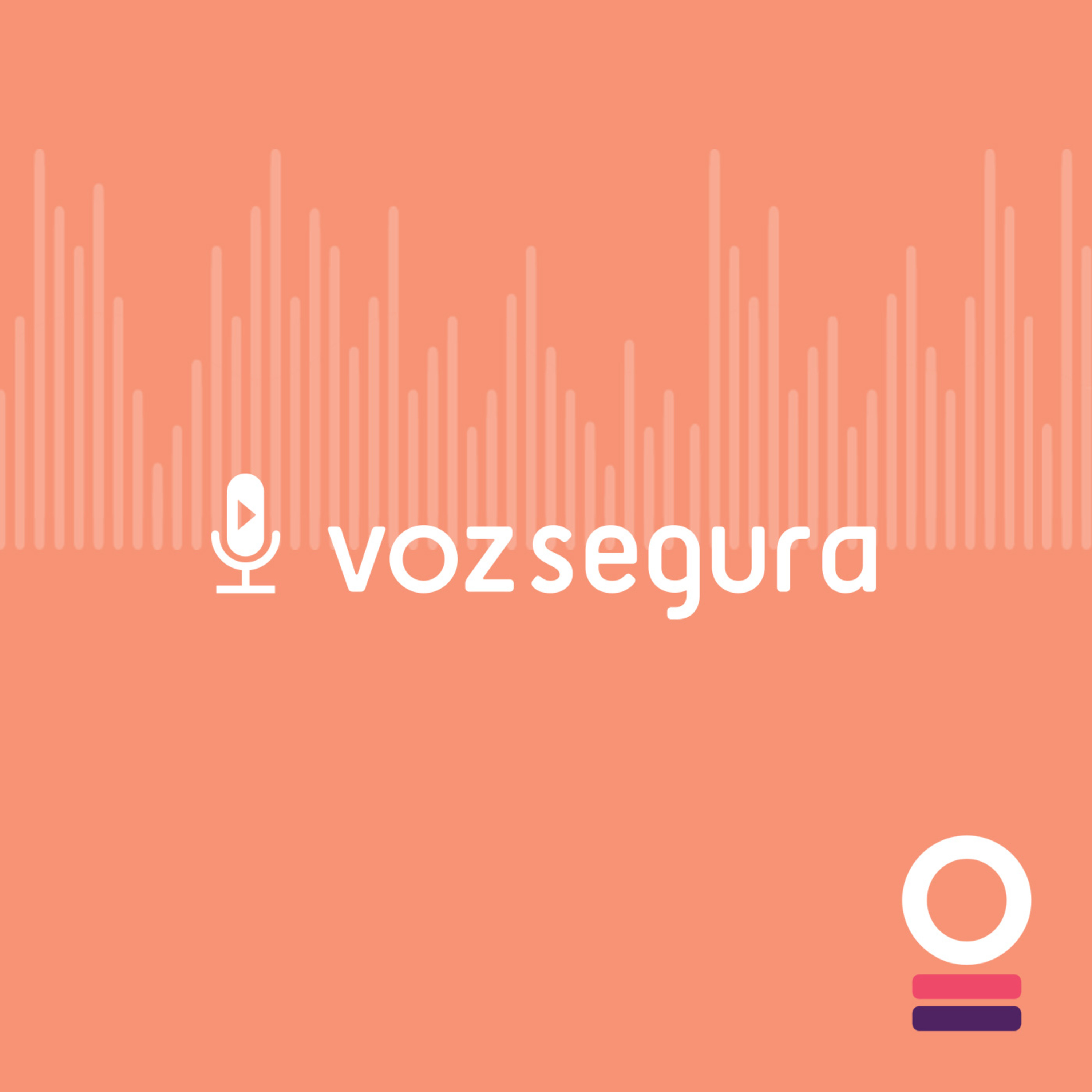 Voz Segura