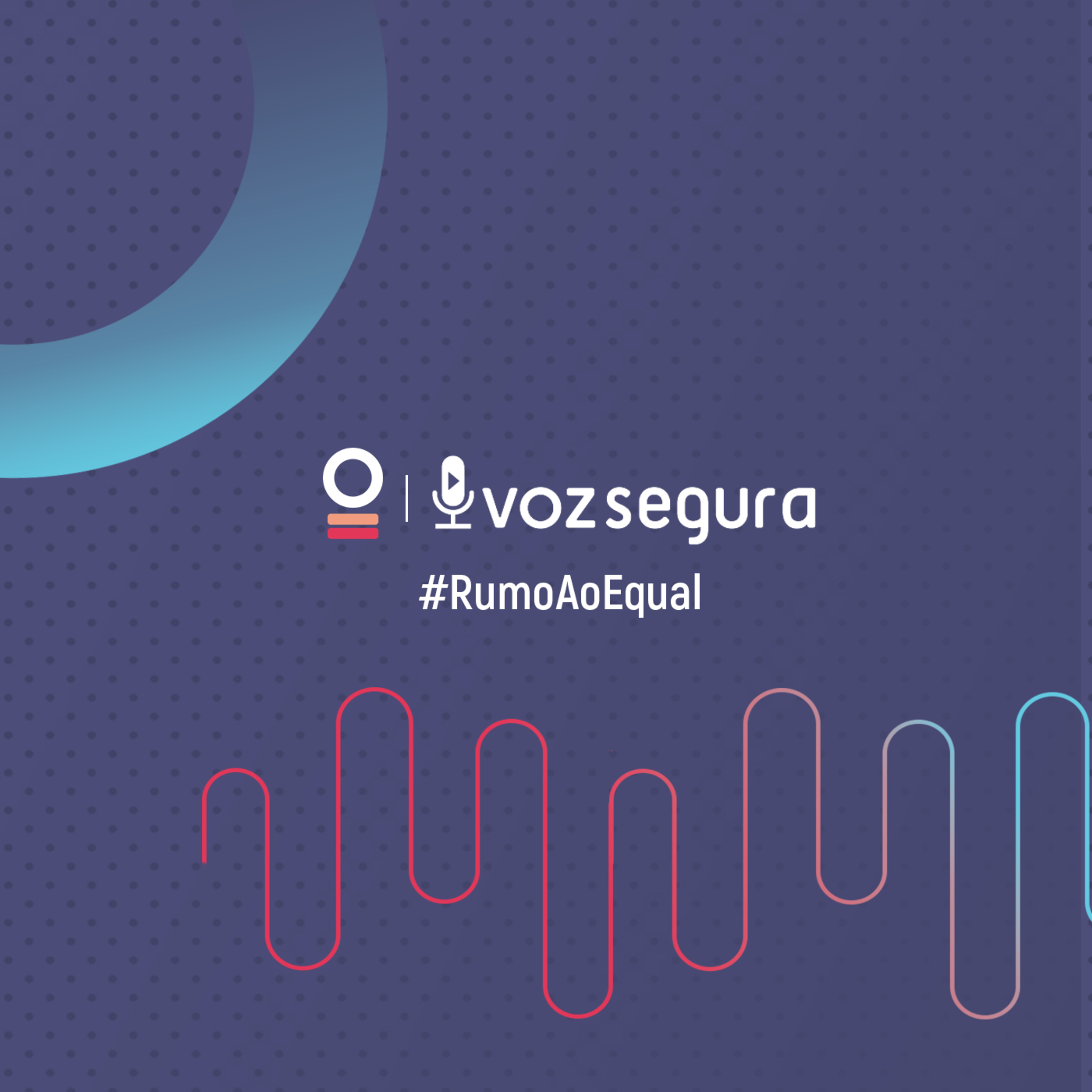Voz Segura