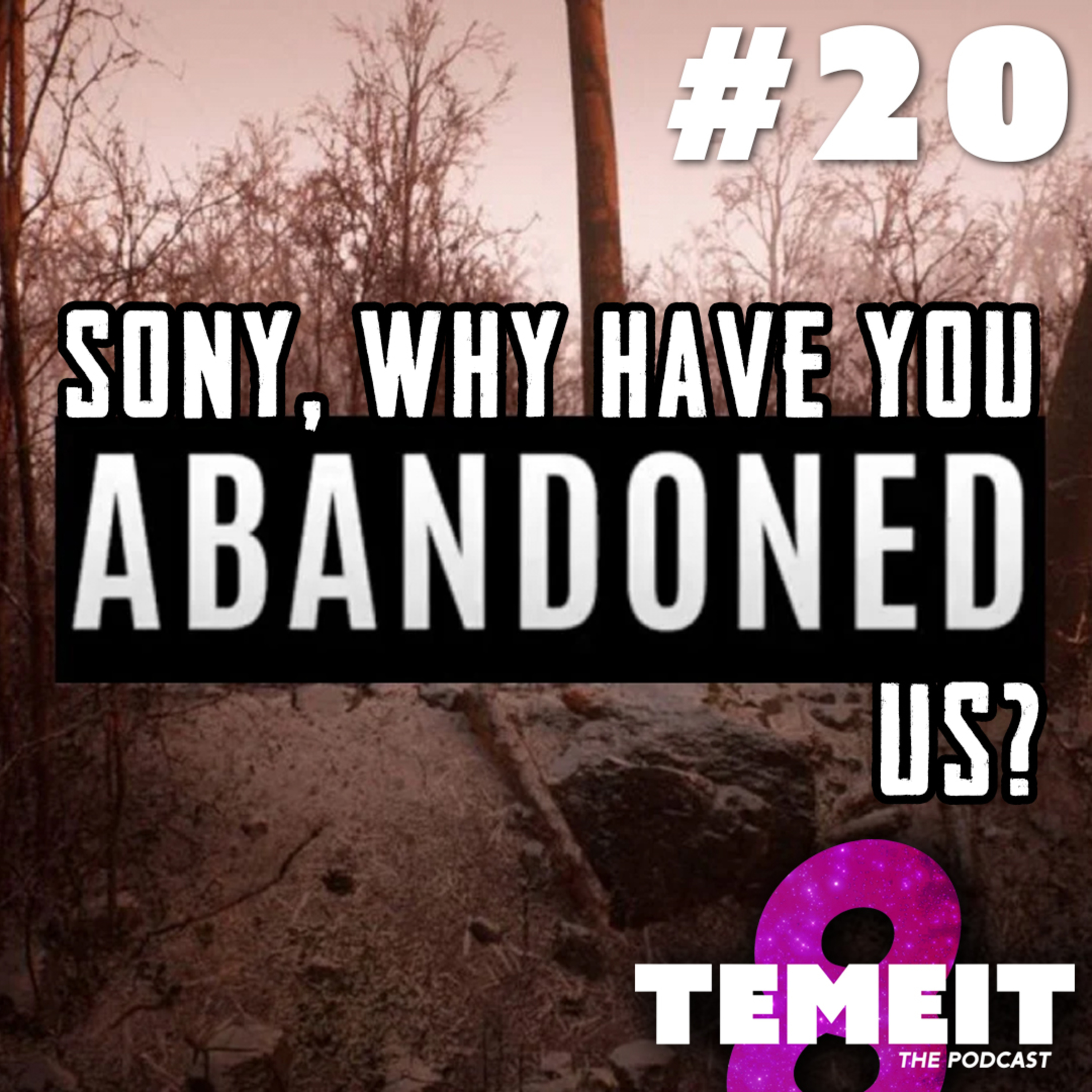 TEMEIT The Podcast