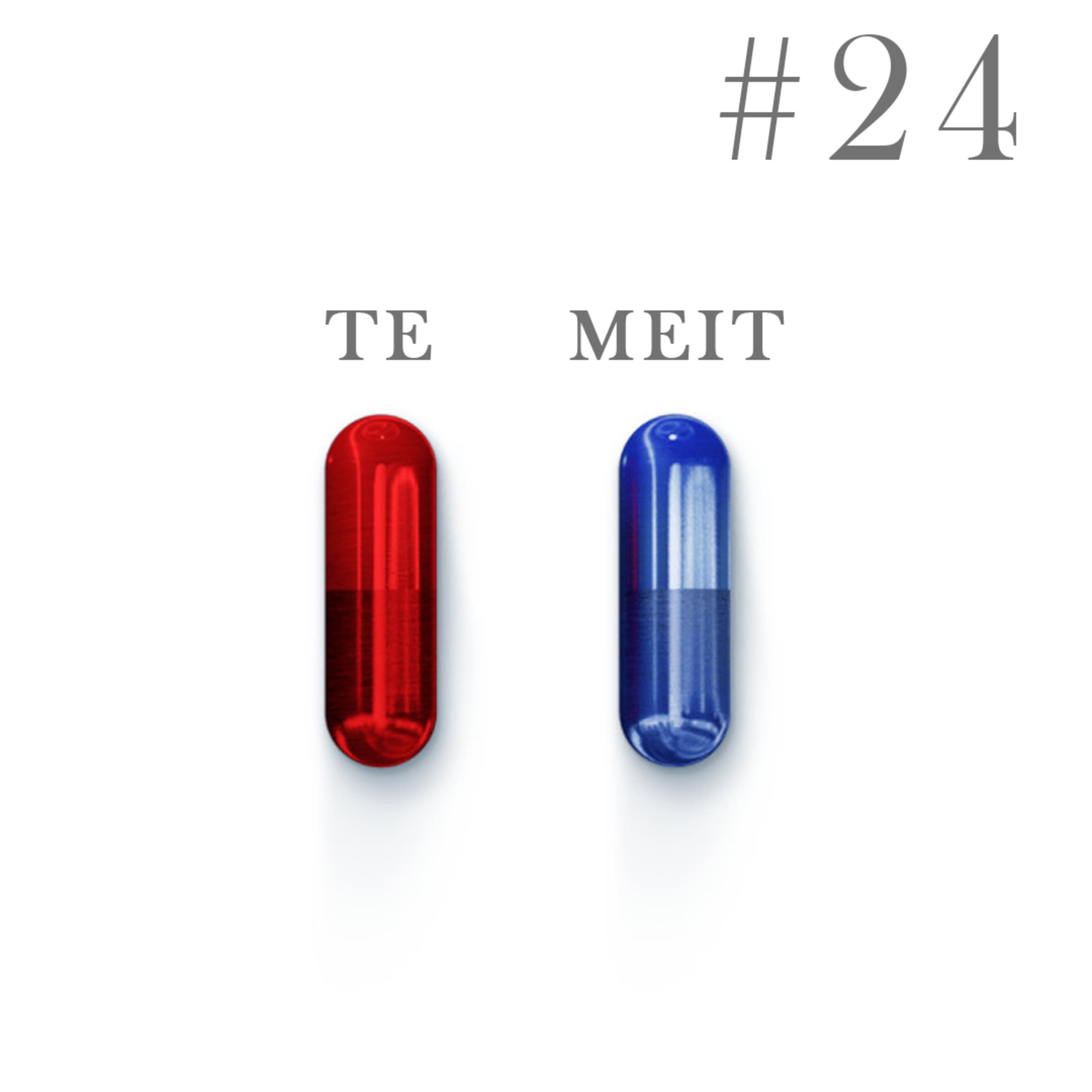 TEMEIT The Podcast