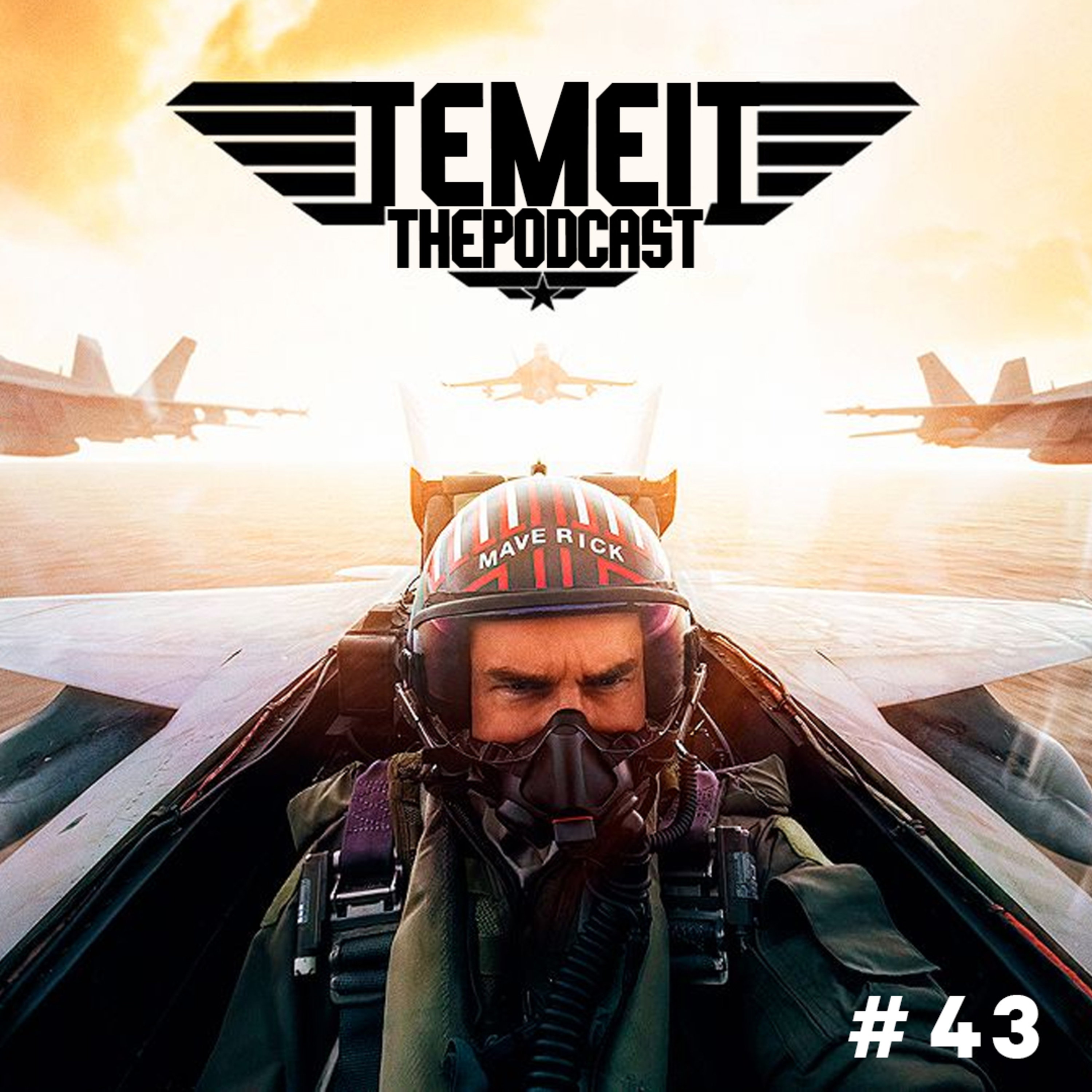 TEMEIT The Podcast