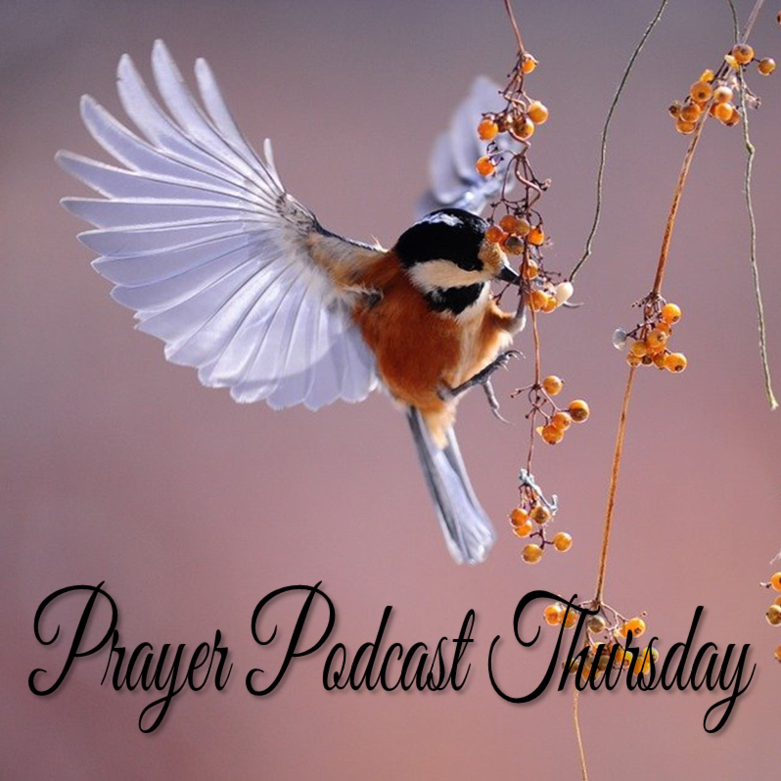 THURSDAY PRAYER PODCAST 7.29.21 episode artwork