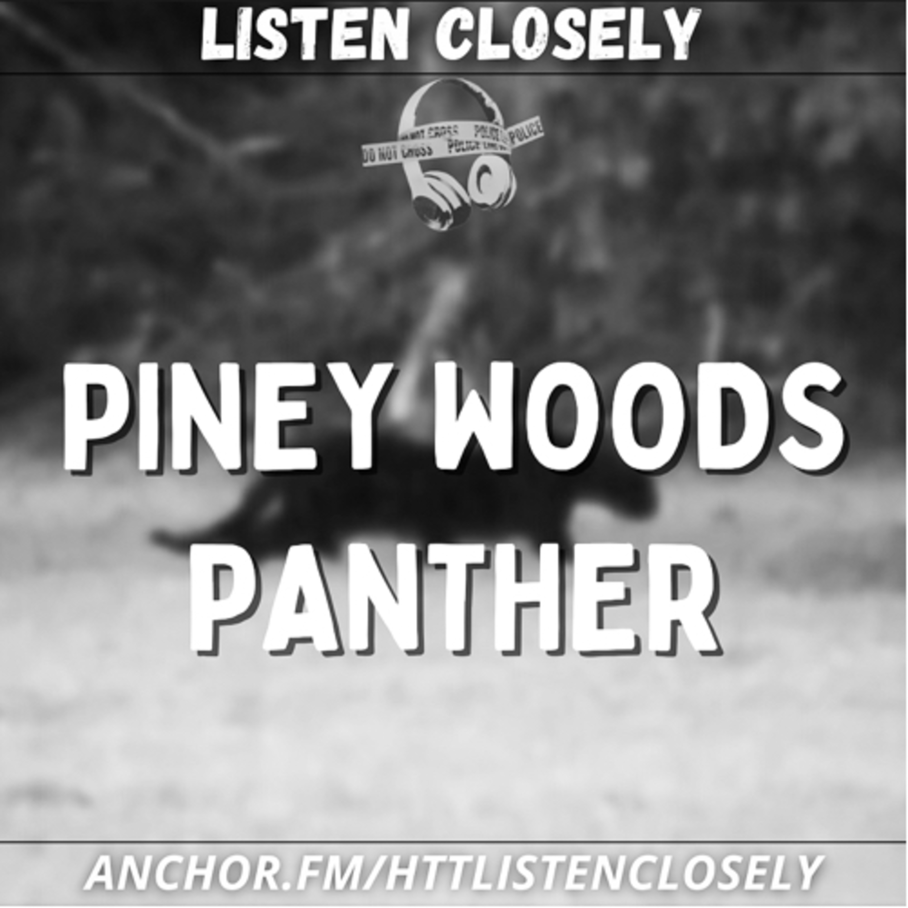 Piney Woods Panther episode artwork