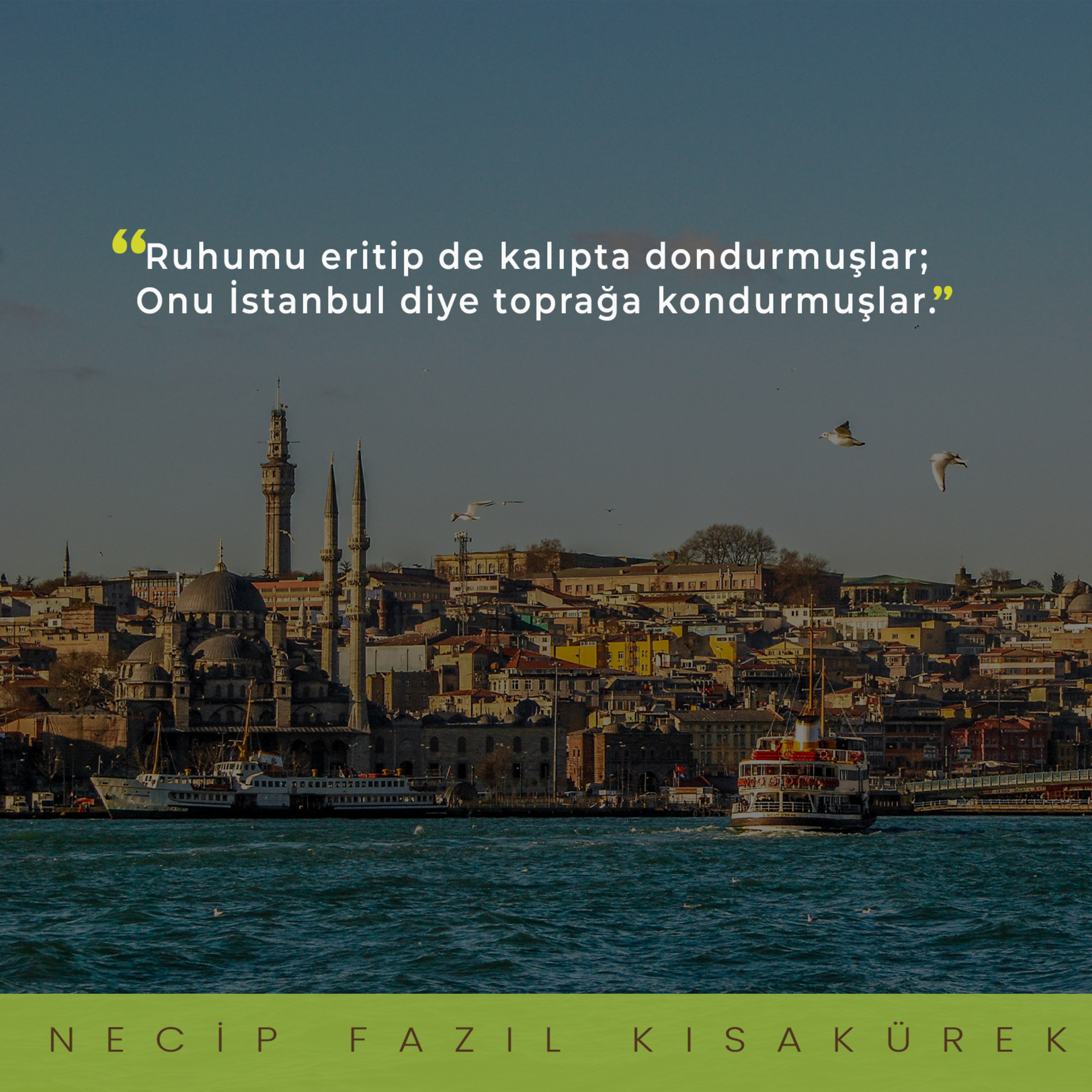 Muhammet KALEM