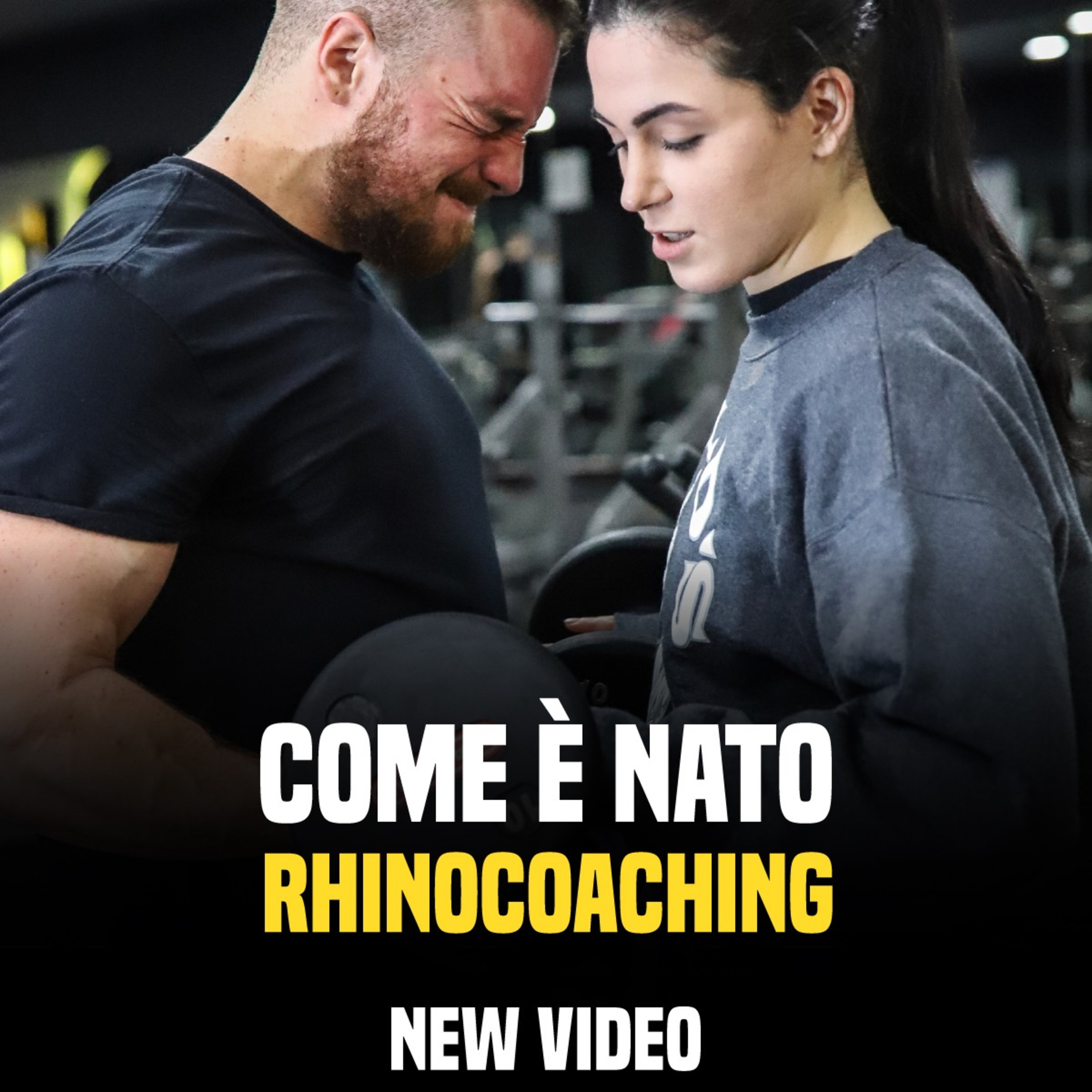 Rhinocoaching