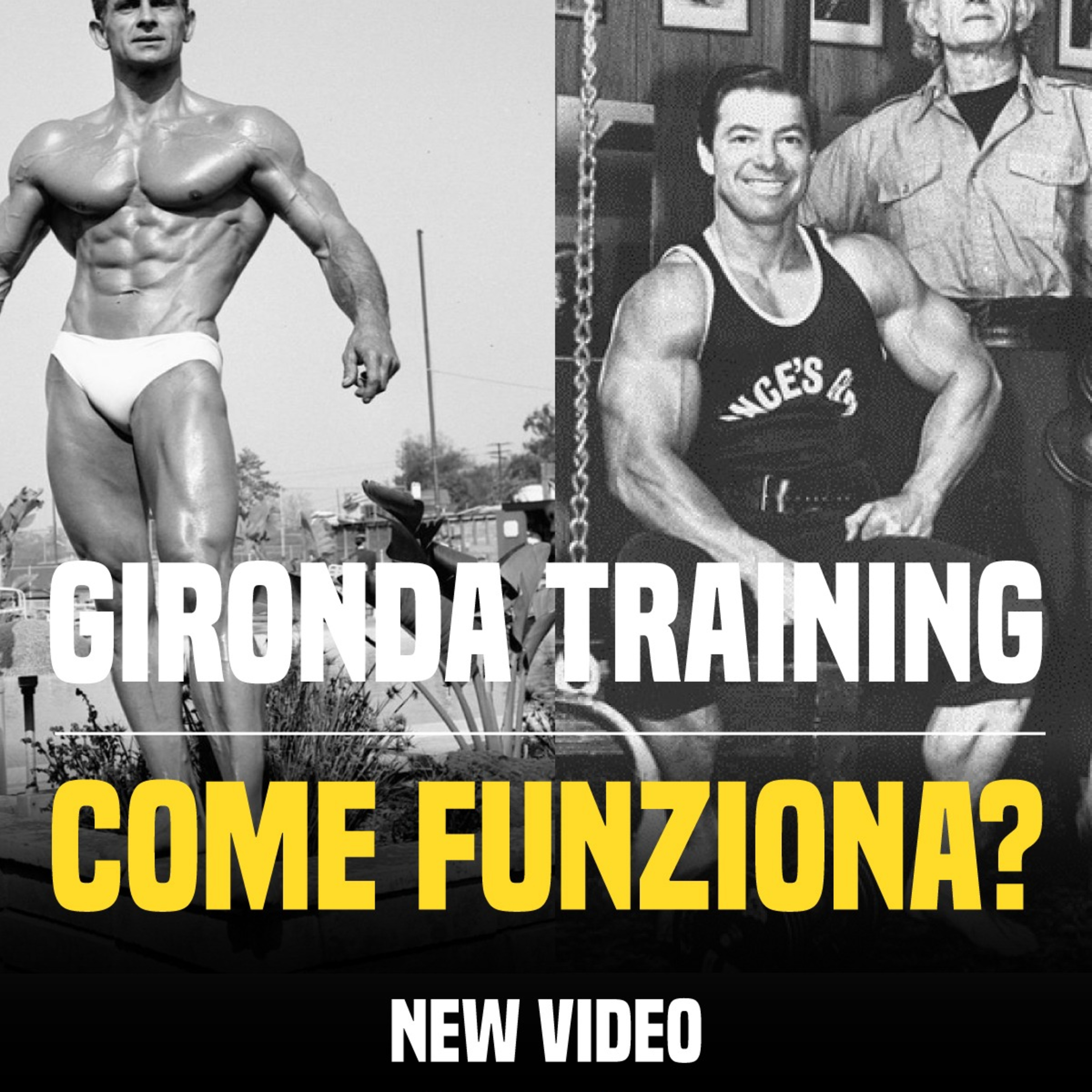 Rhinocoaching