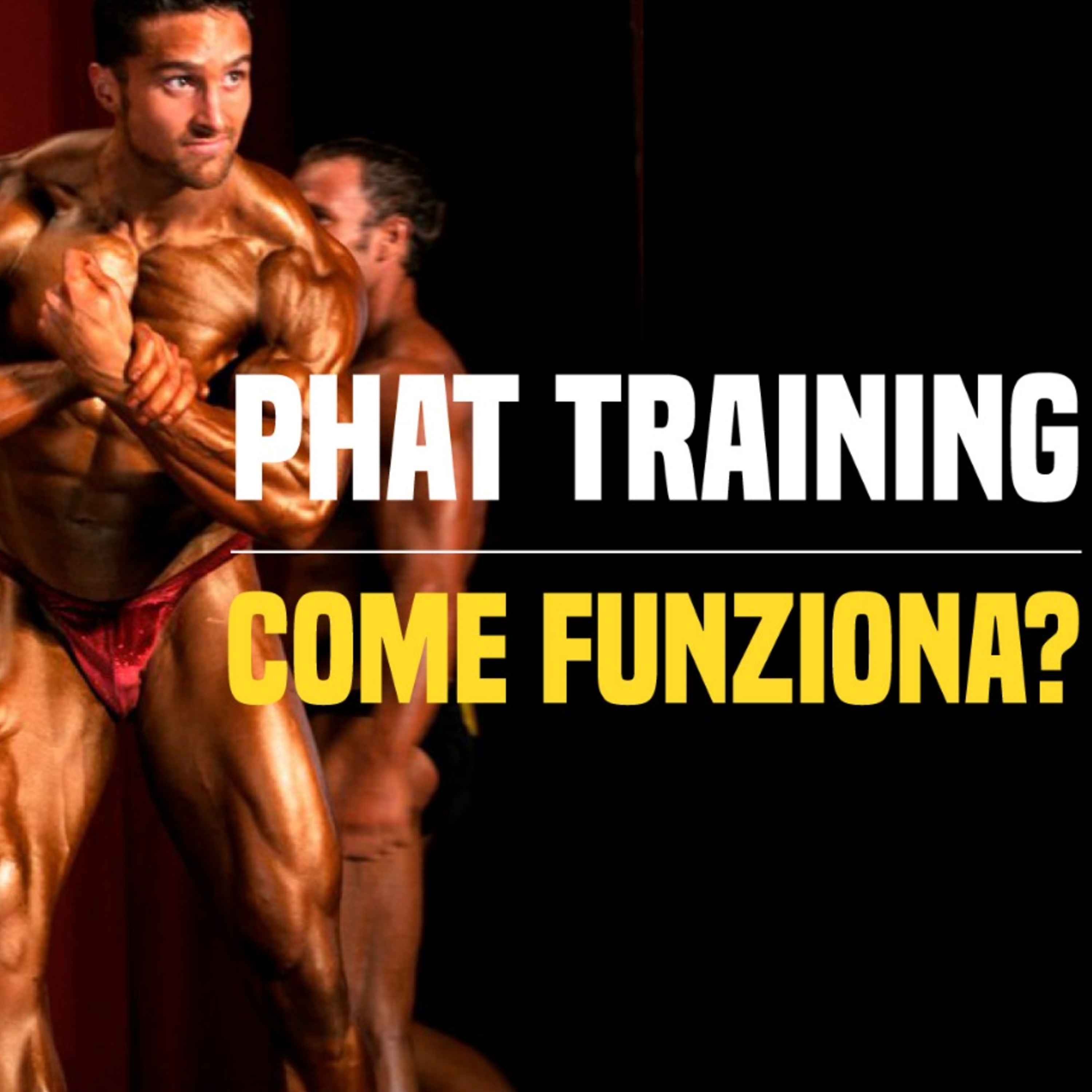 Rhinocoaching