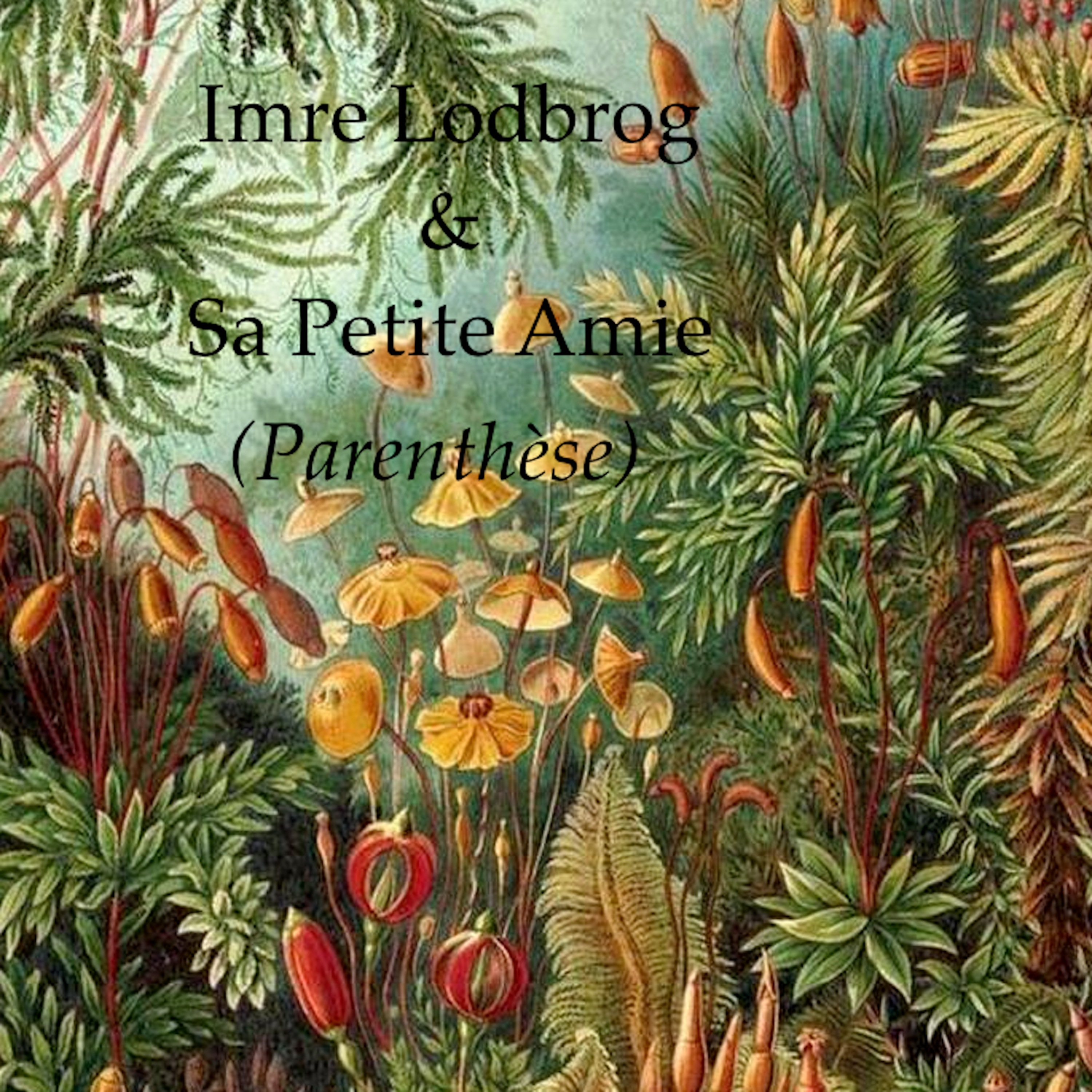 (Parenthèse): Introduction episode artwork