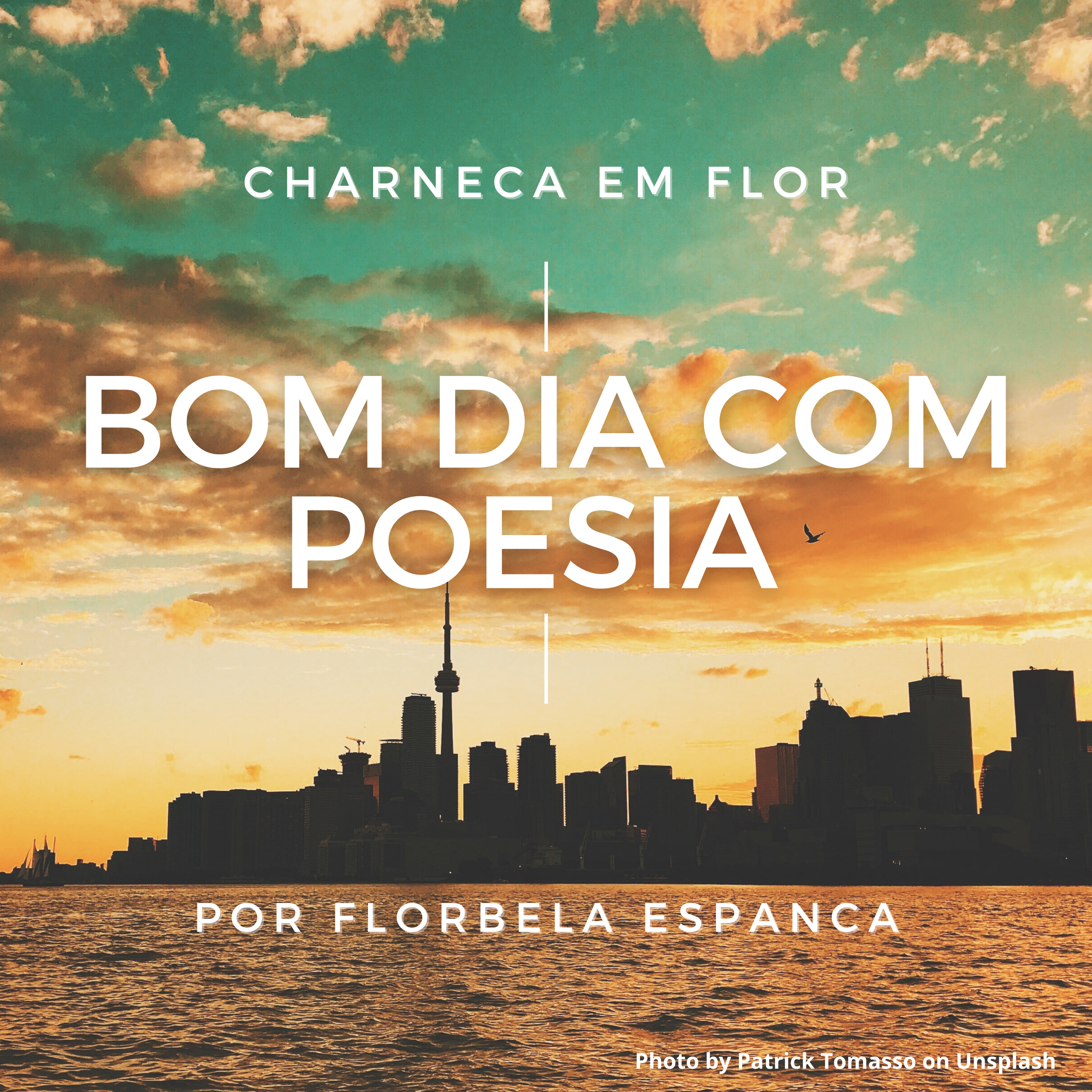 Páginas de Mim