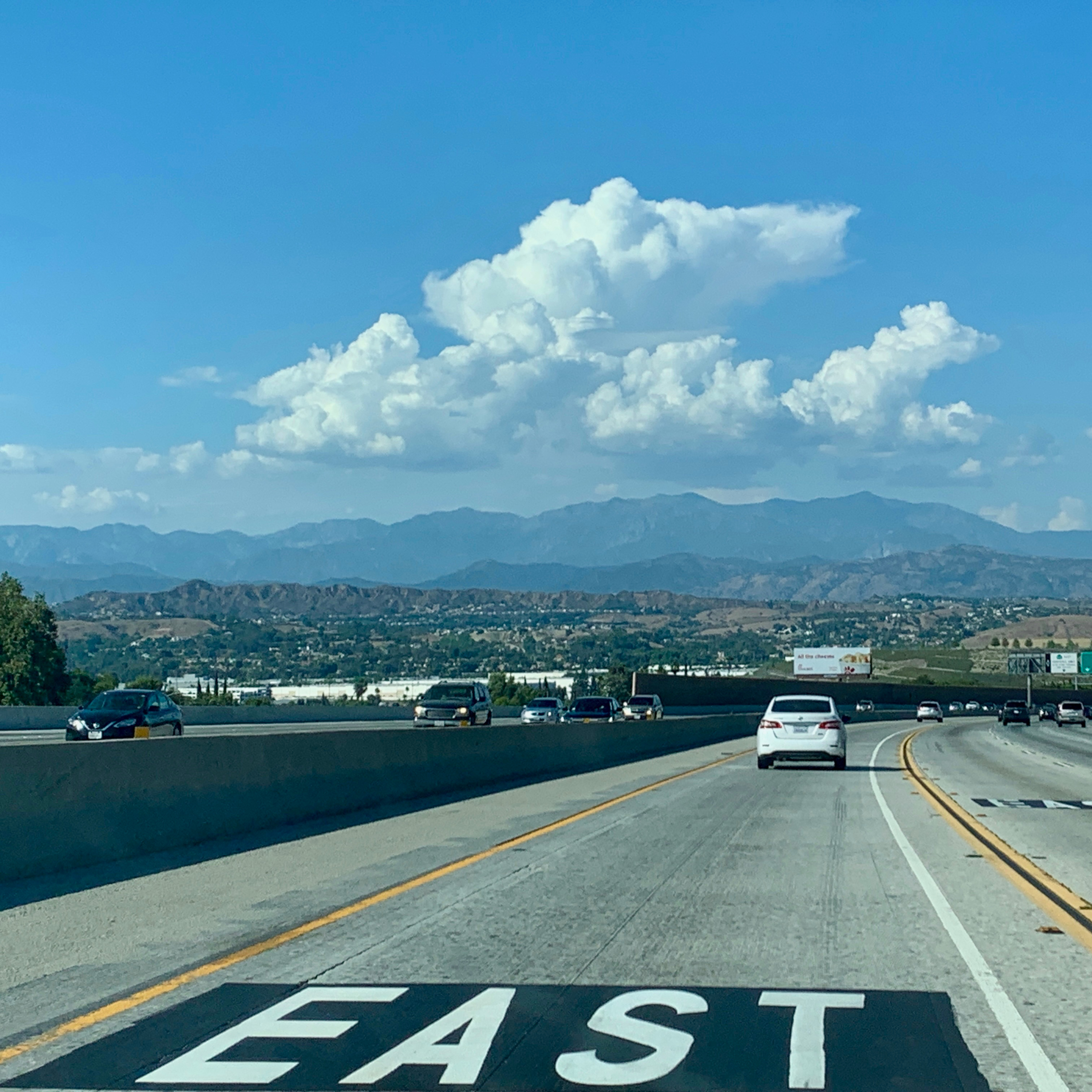 The Brothers Karamazov