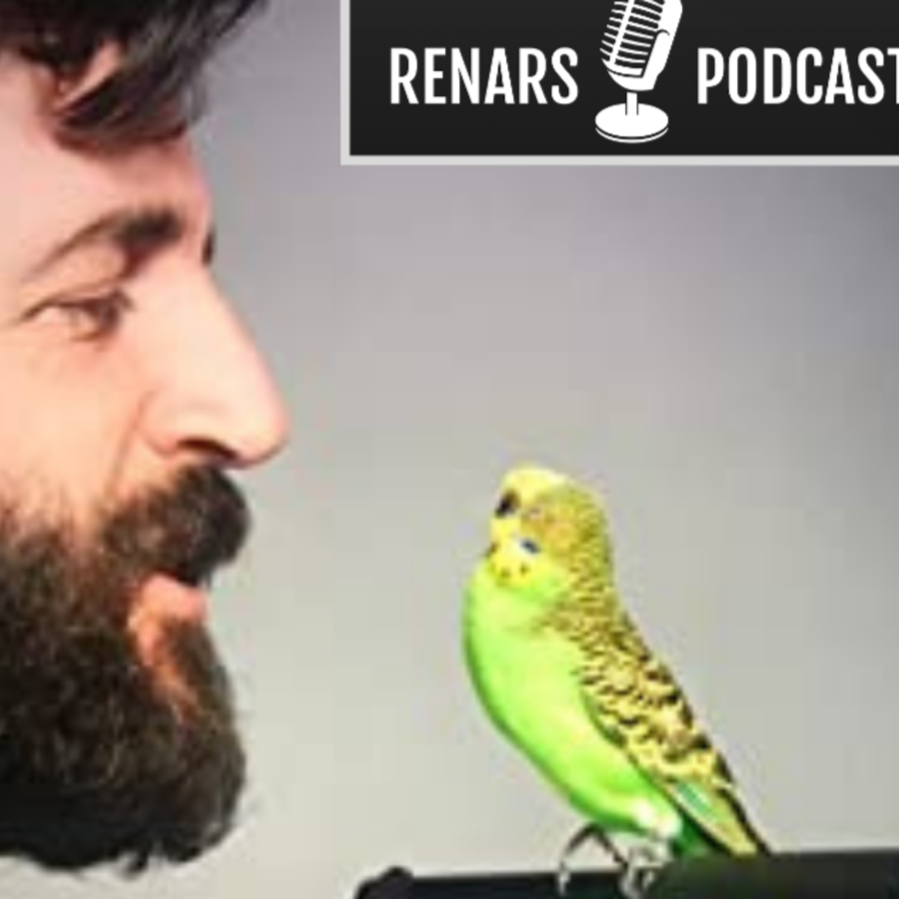 Renars Podcast