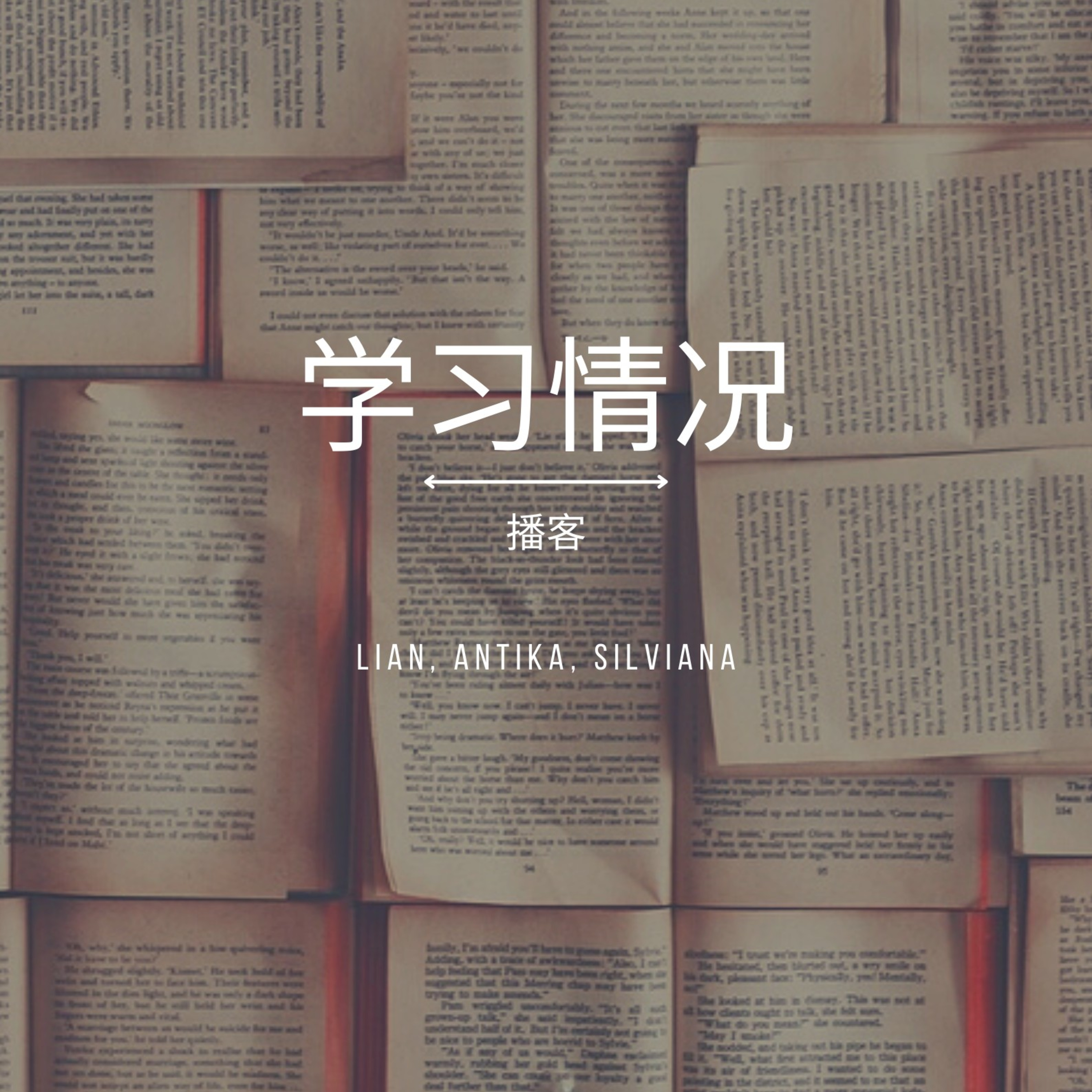 学习中文