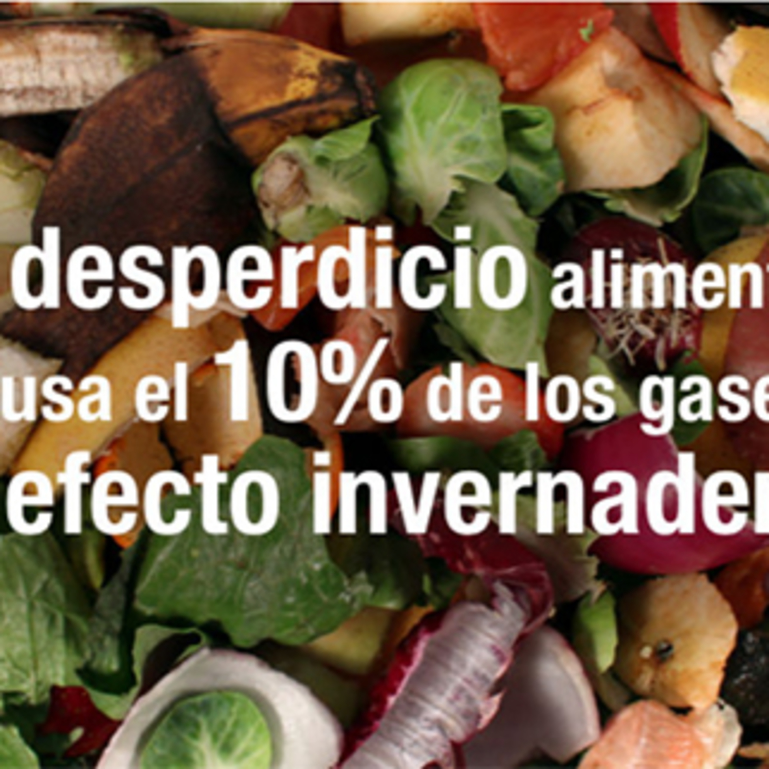 Keep Calm & Go Volunteering - ¿Cómo solucionarían los jóvenes el desperdicio de alimentos? episode artwork