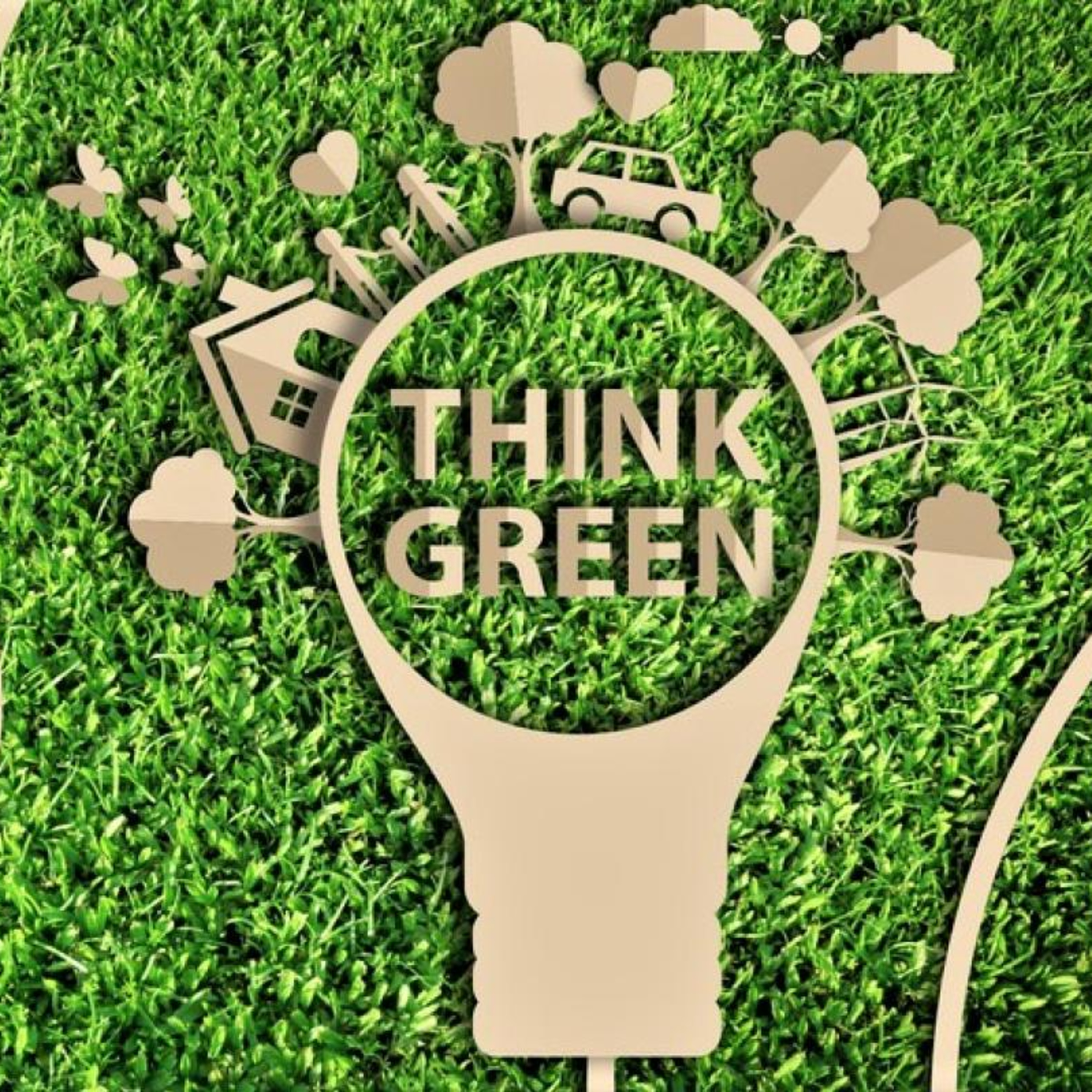 Keep Calm & Go Volunteering | 10 idee green per uno stile di vita più sostenibile episode artwork