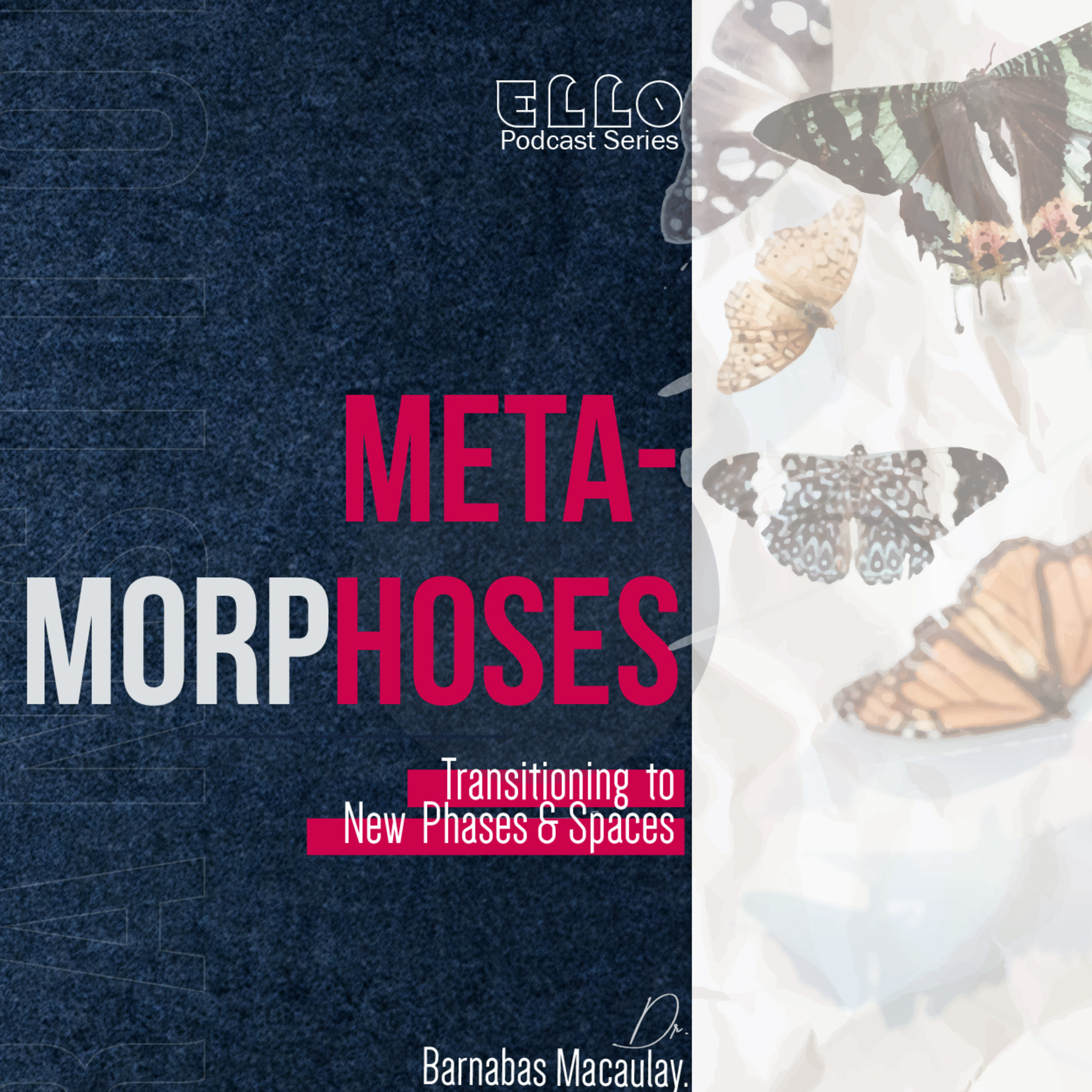Metamorphoses- Transitioning to new phases and spaces