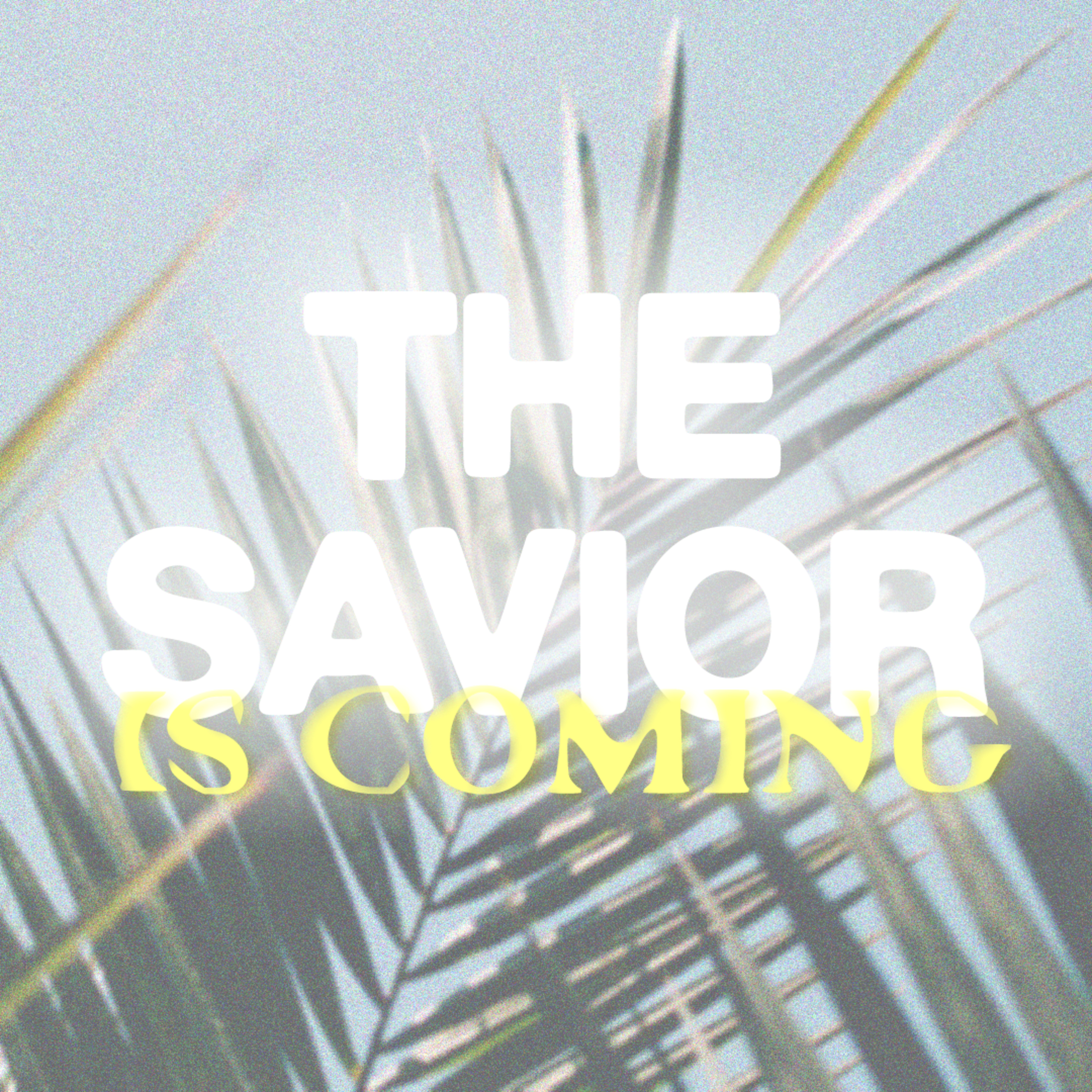 The Savior is Coming episode artwork