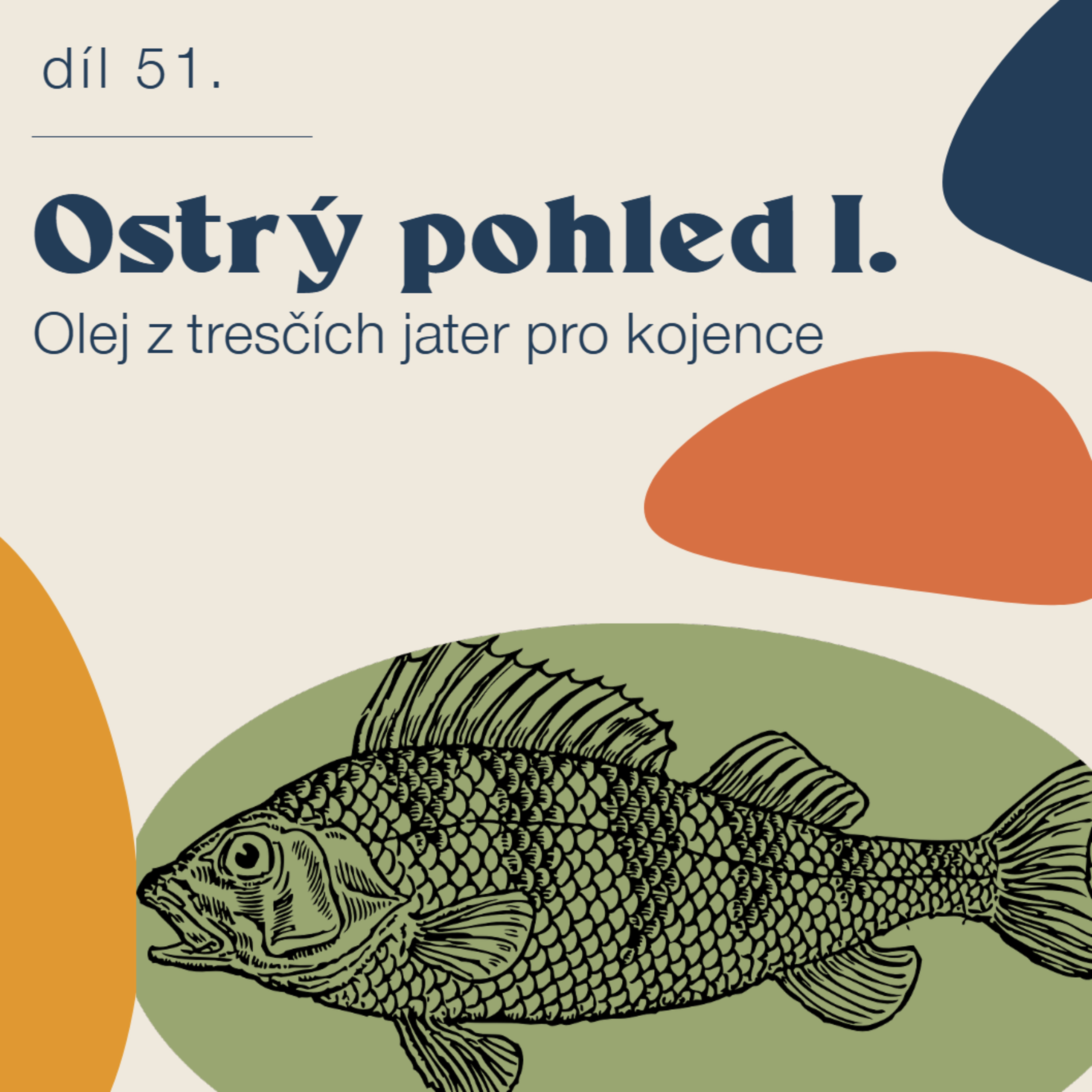 # 51 Ostrý pohled - úvod episode artwork
