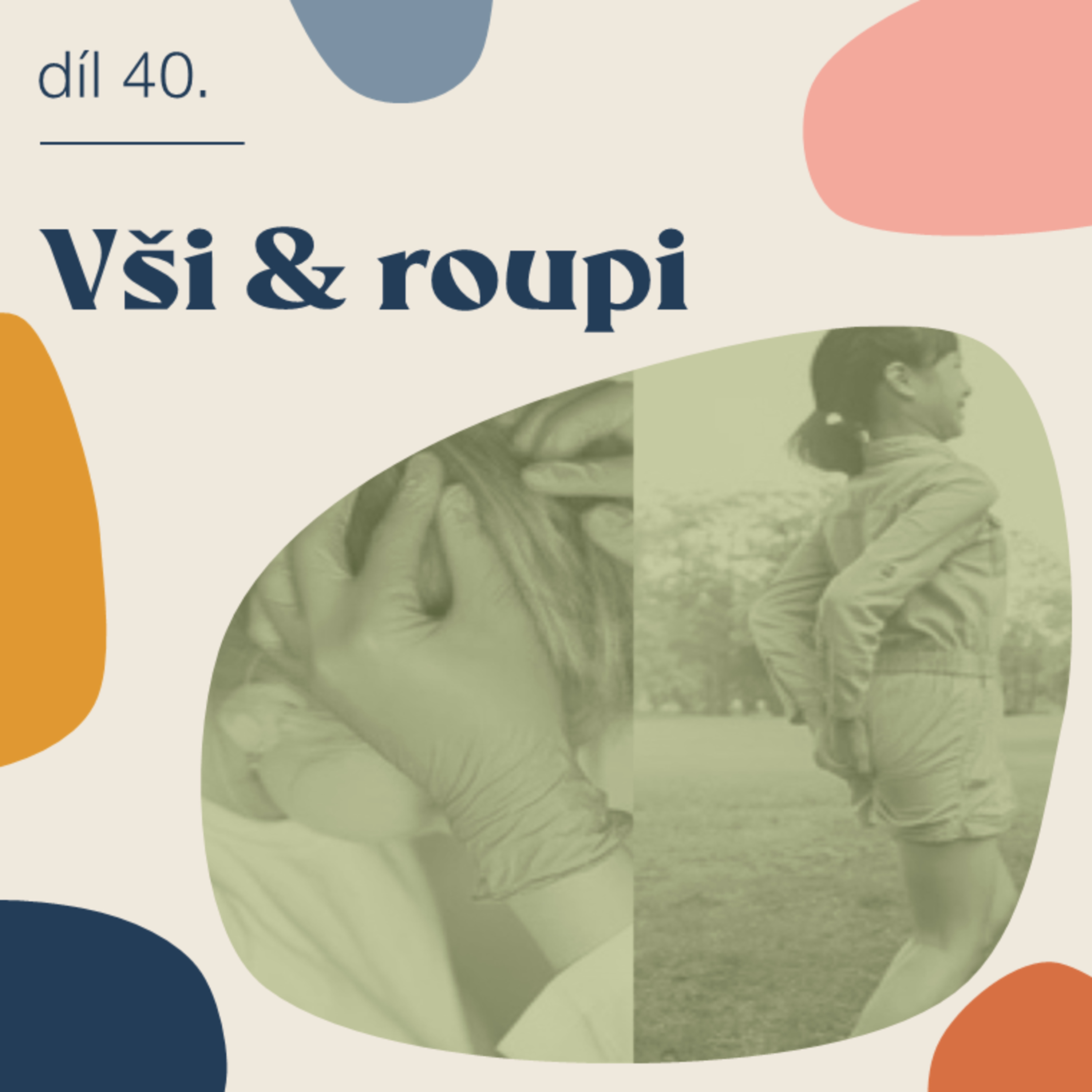 # 40 Vši & roupi episode artwork
