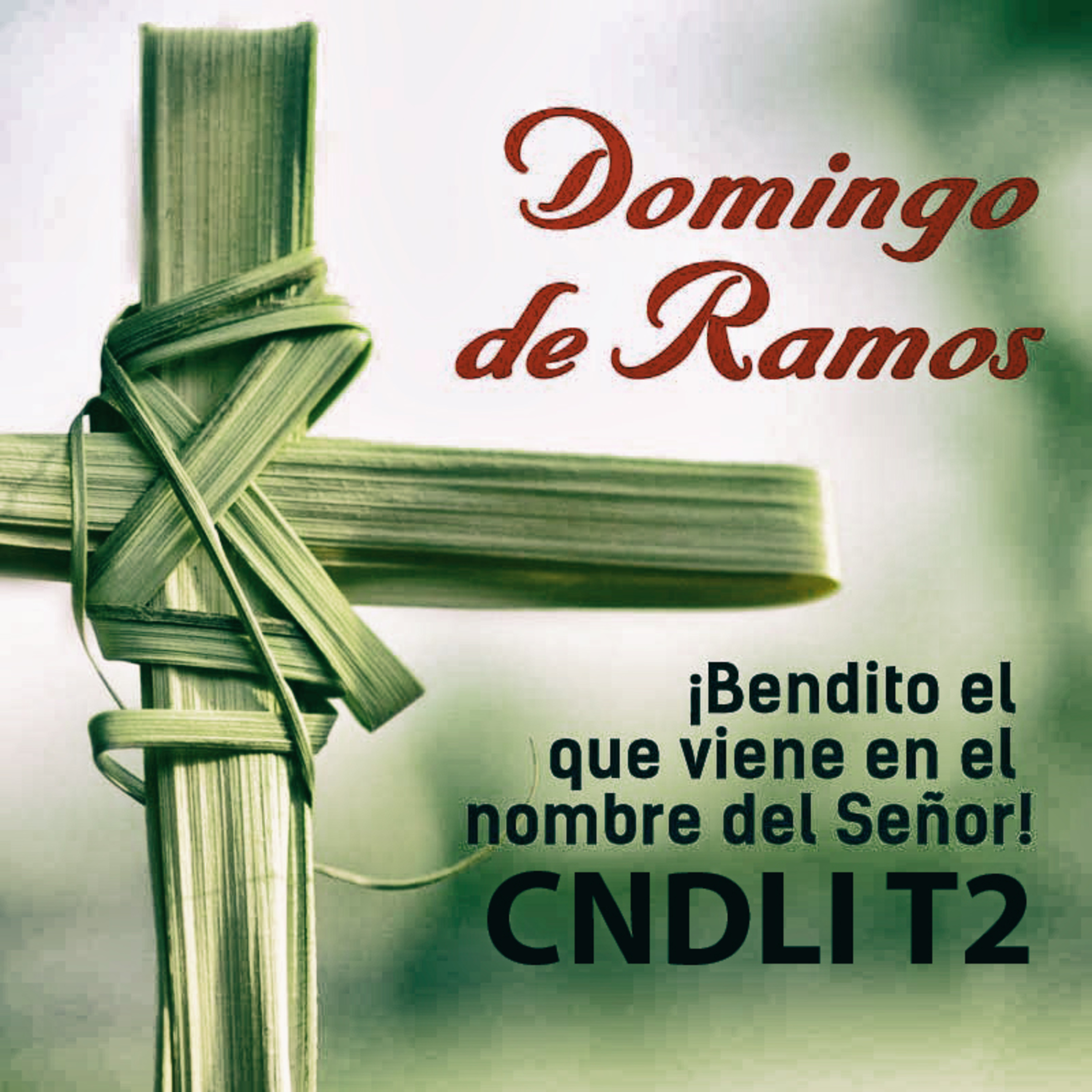 CENÁCULO DE LA INMACULADA