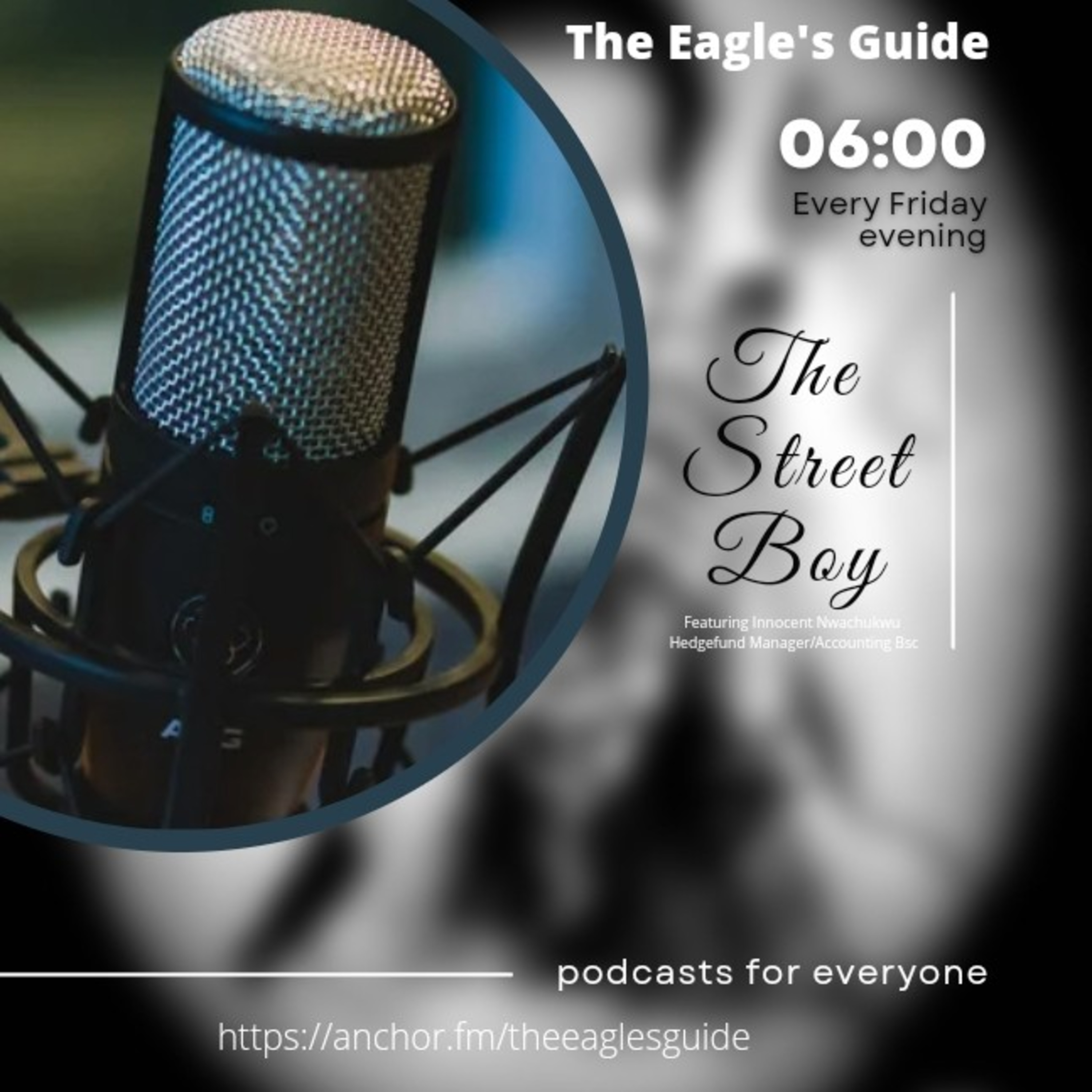 The Eagle\'s Guide
