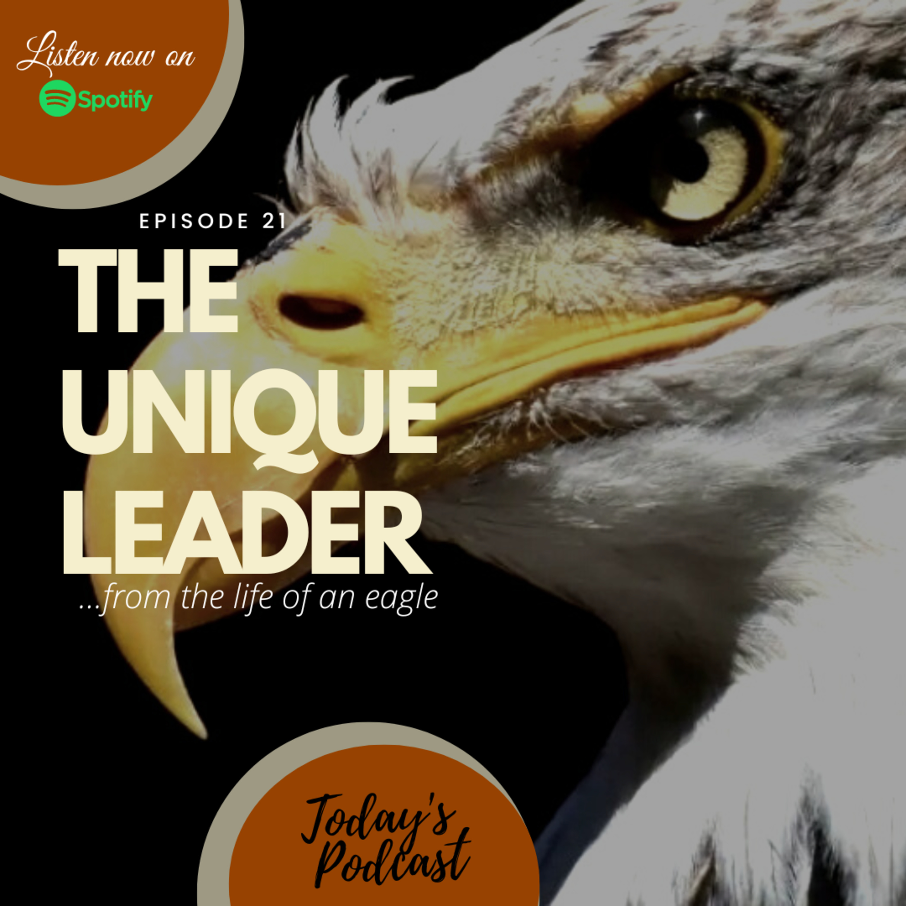 The Eagle\'s Guide