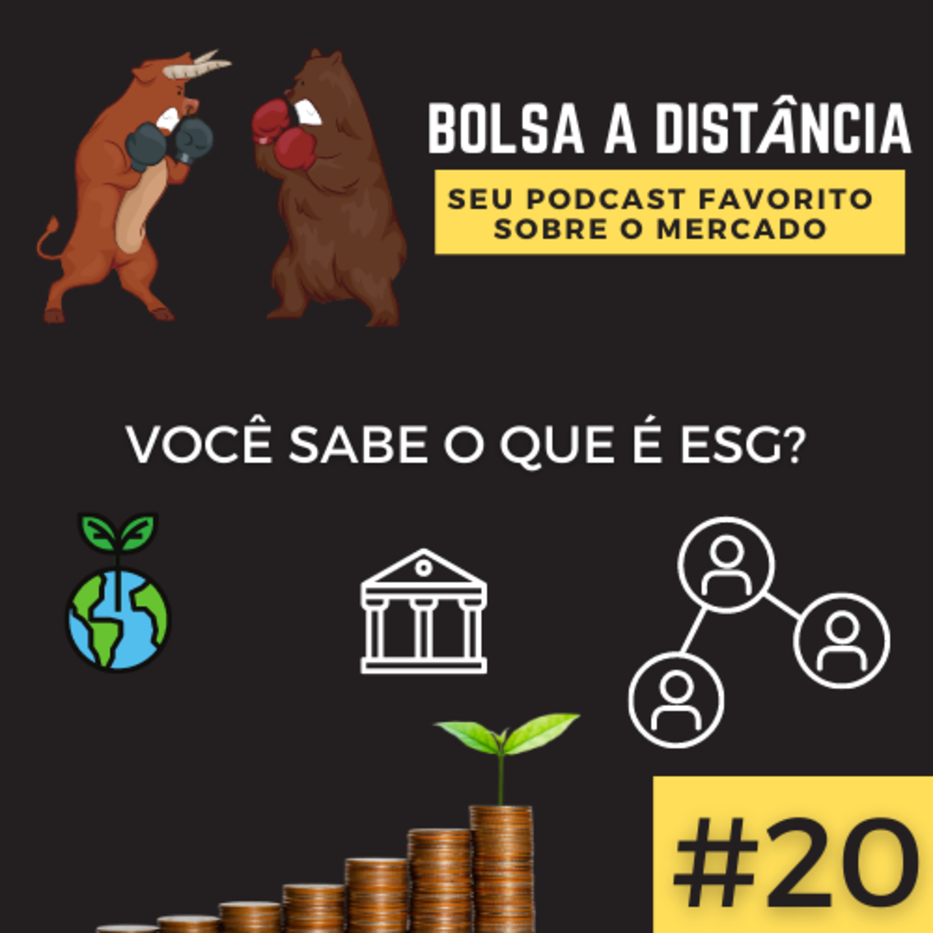 Bolsa a Distância