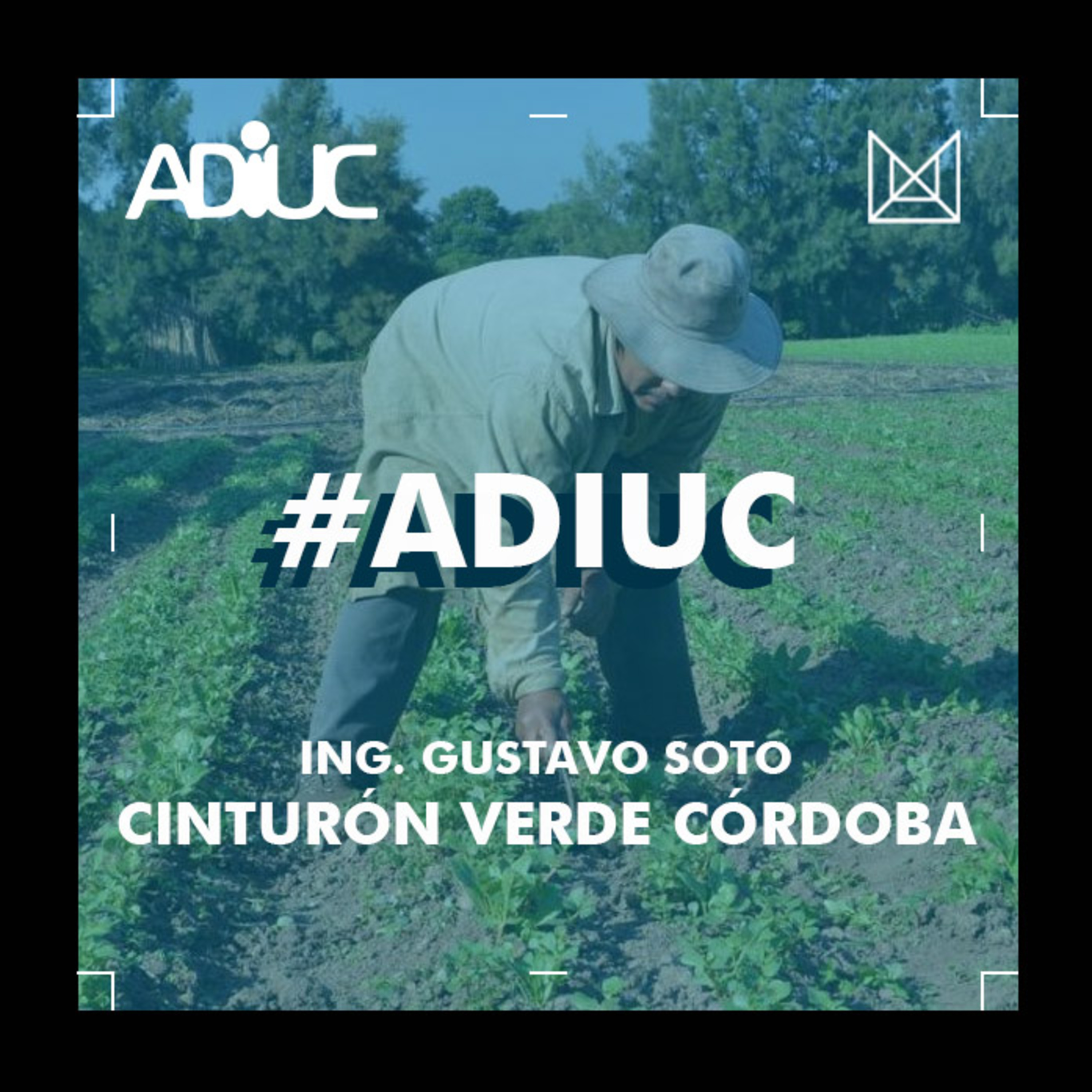 ADIUC / CIUDAD UNIVERSITARIA - Ing. Gustavo Soto episode artwork