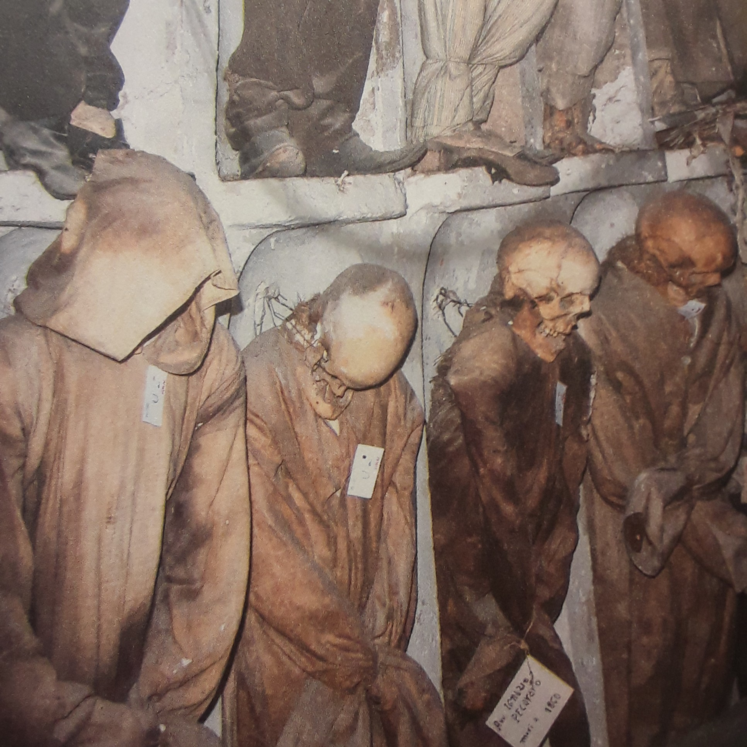 LA HUELLA DEL MISTERIO