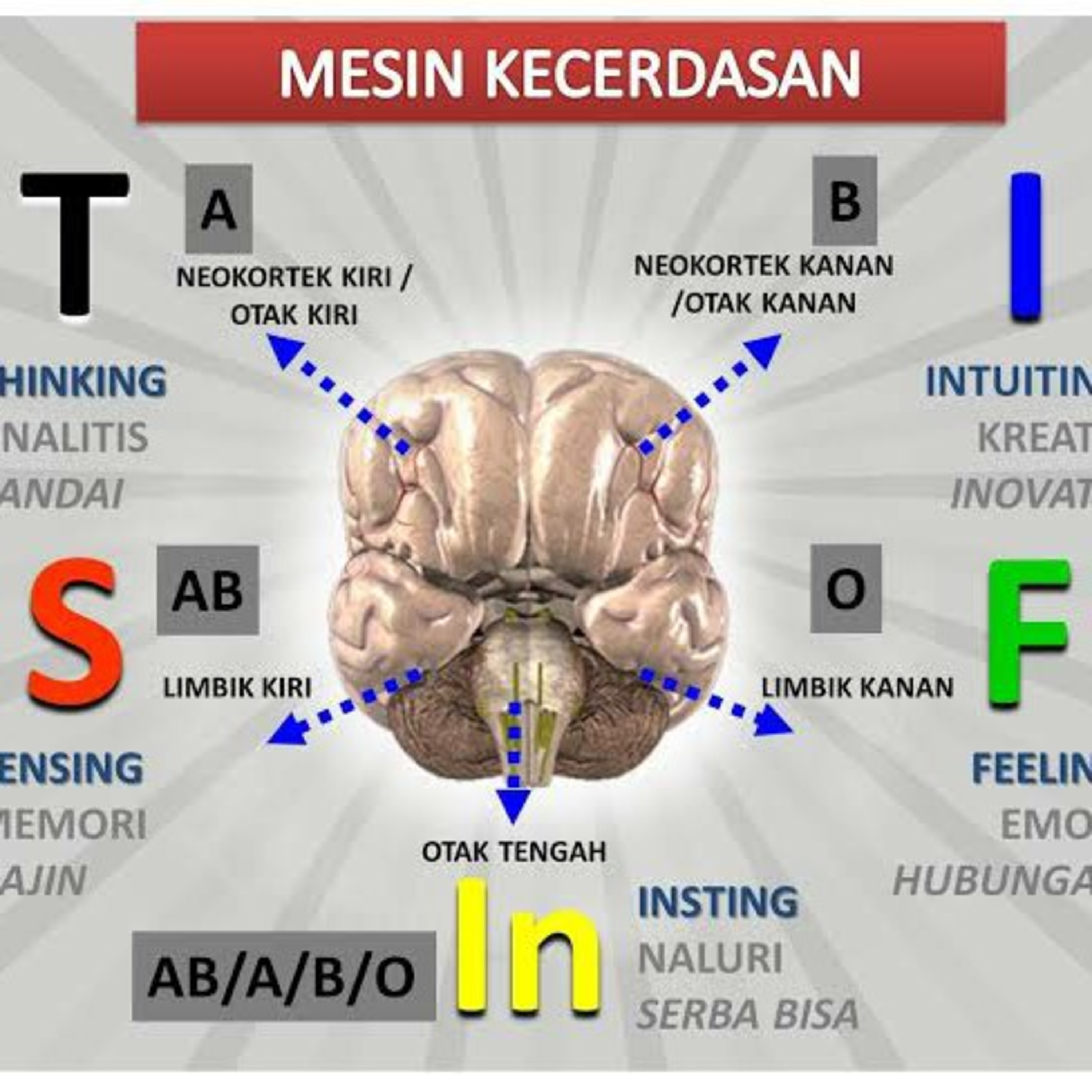 Cewek vs Cowok Sama Sama Punya Perasaan, STIFIn, MBTI, Tipe Kecerdasan Kepribadian episode artwork